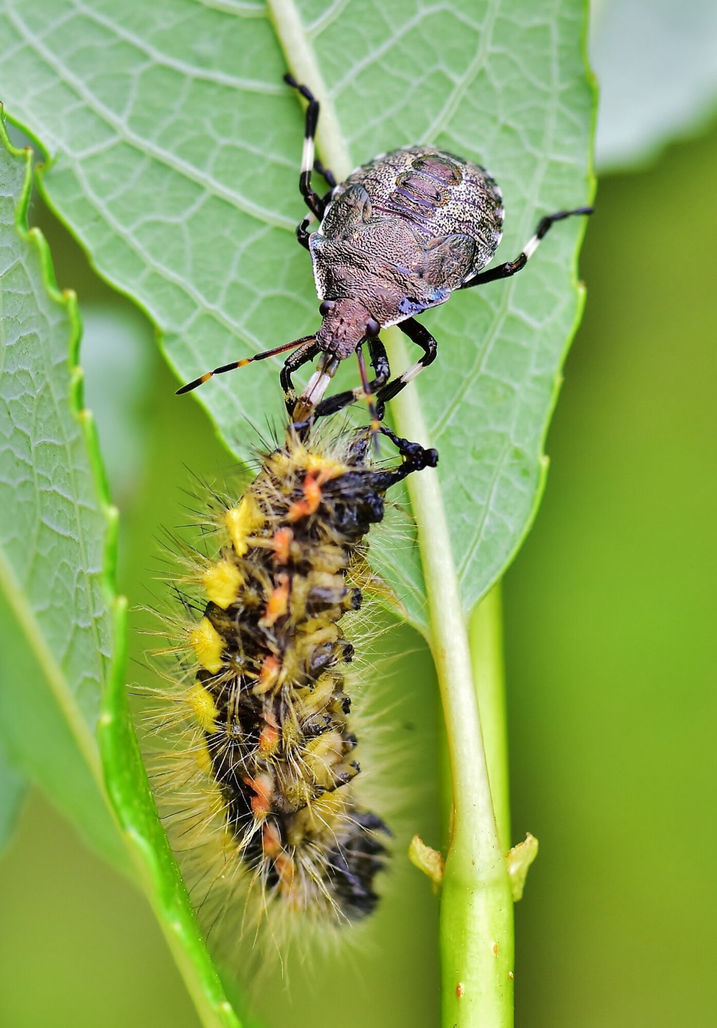 Valokuvaaja: Markku Pelkonen