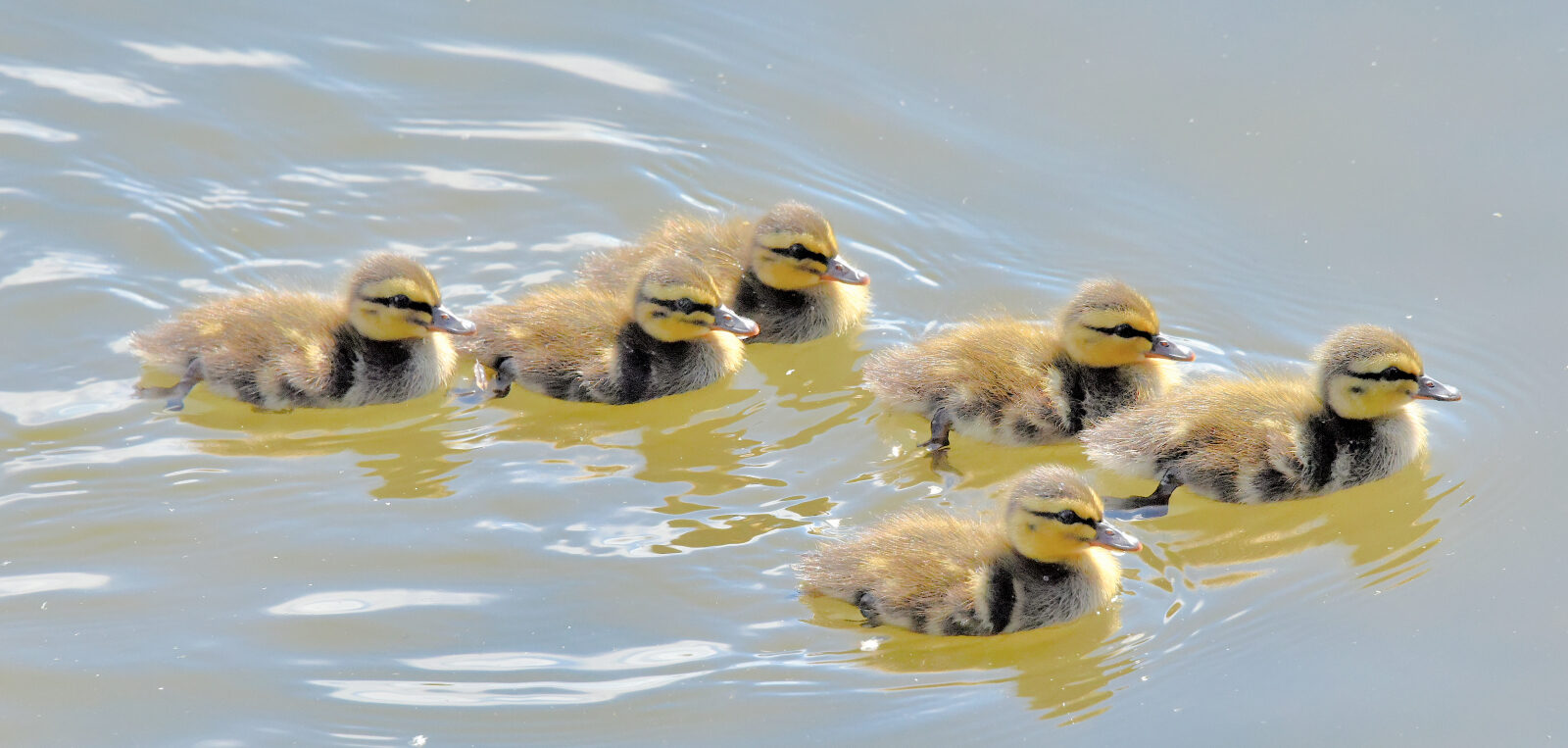 Valokuvaaja: Reijo Juurinen