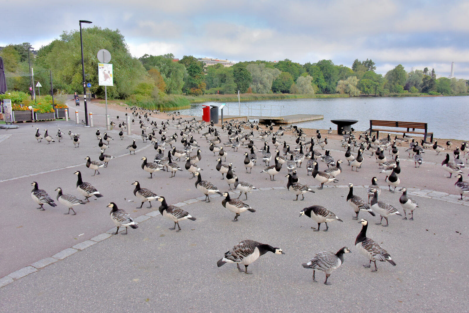 Valokuvaaja: Reijo Juurinen