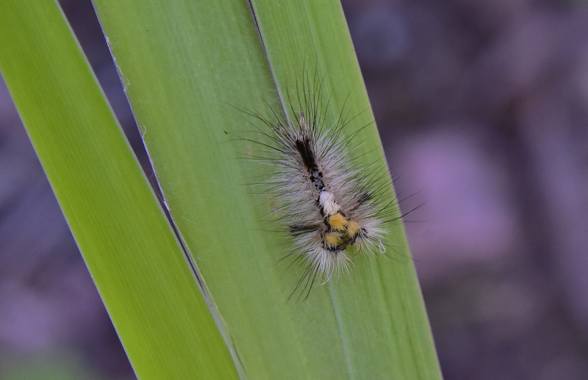 Valokuvaaja: Markku Pelkonen