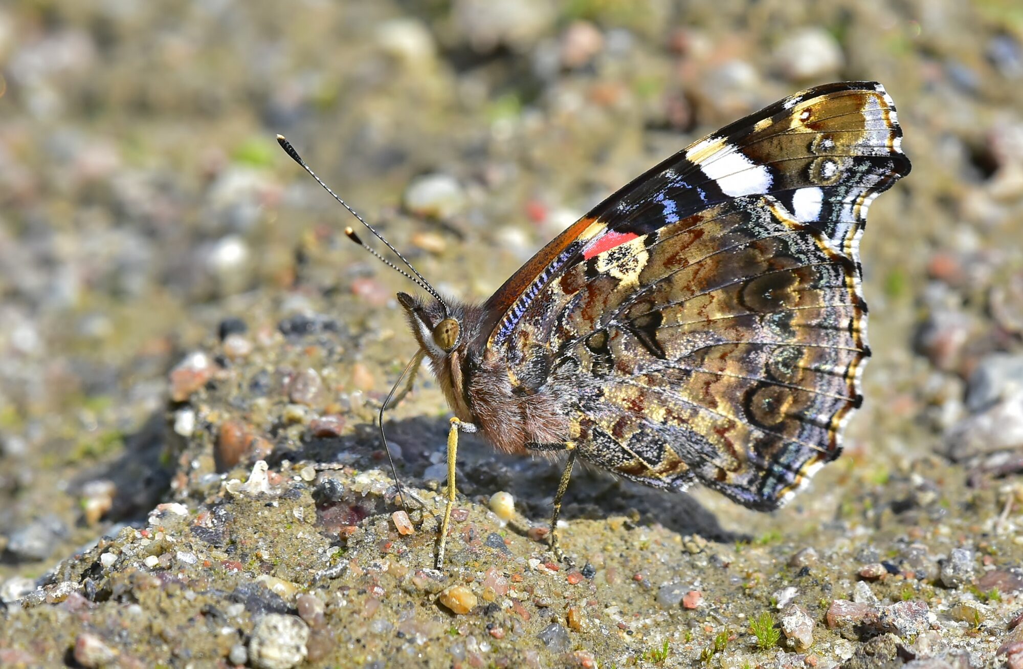 Valokuvaaja: Markku Pelkonen