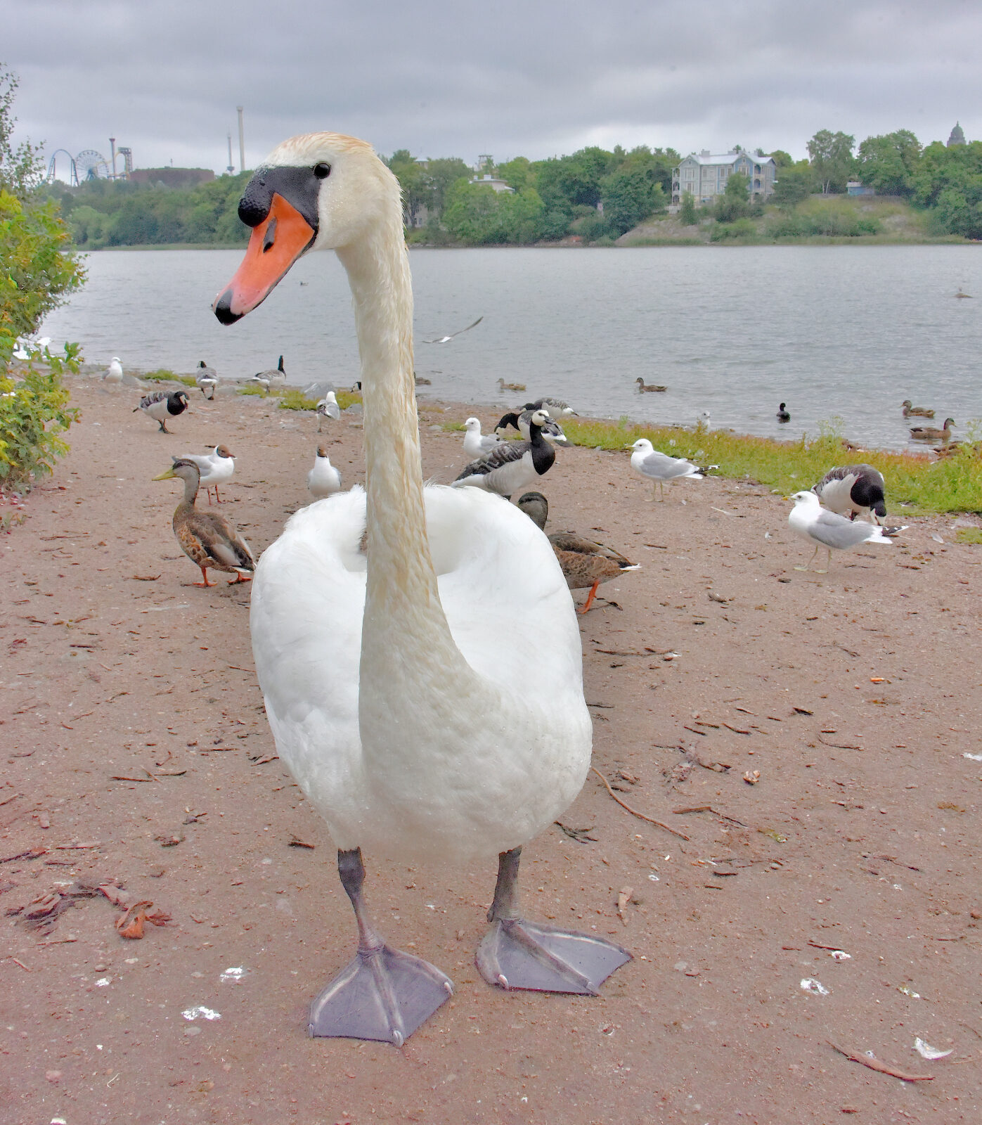 Valokuvaaja: Reijo Juurinen
