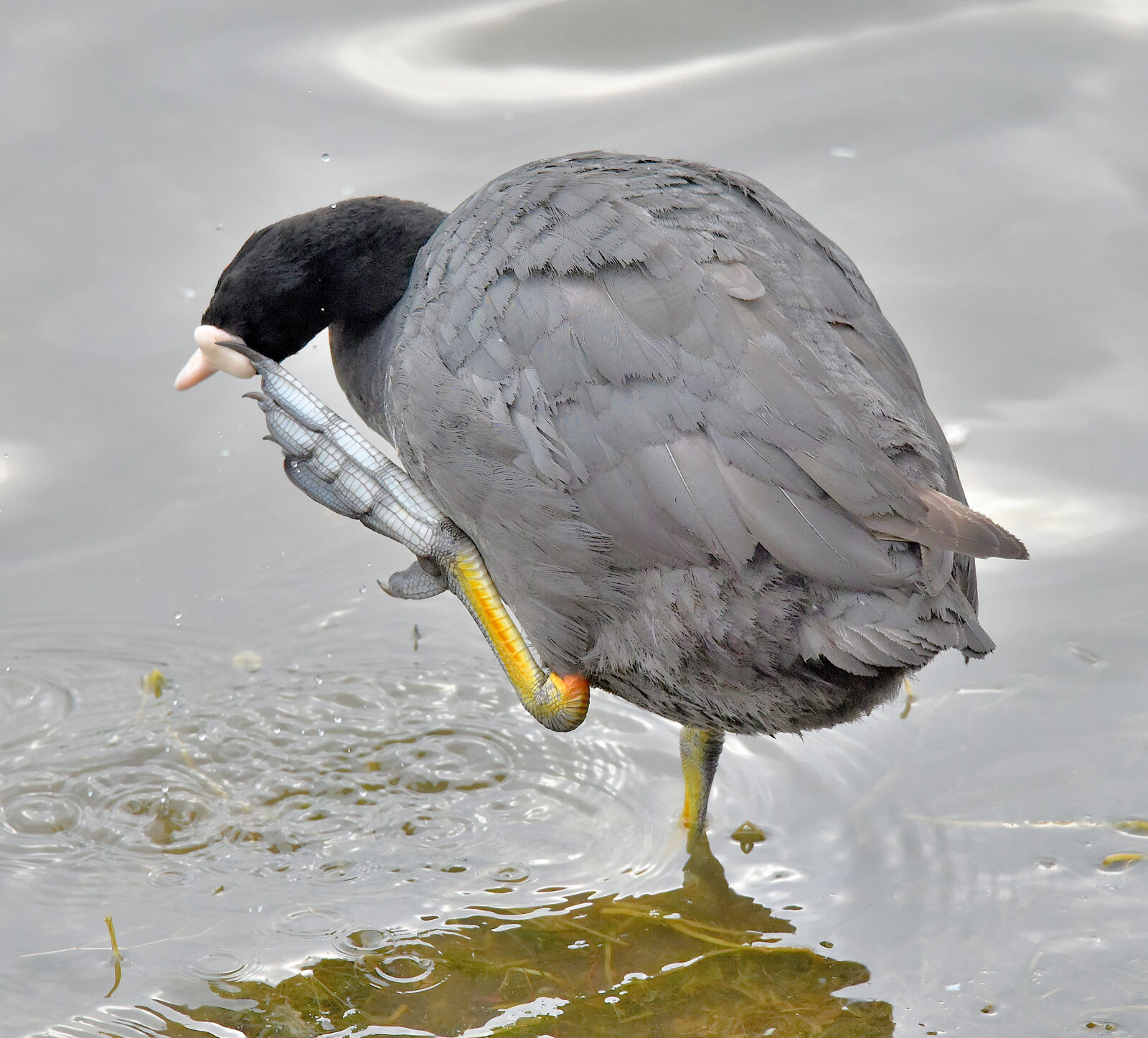 Valokuvaaja: Reijo Juurinen