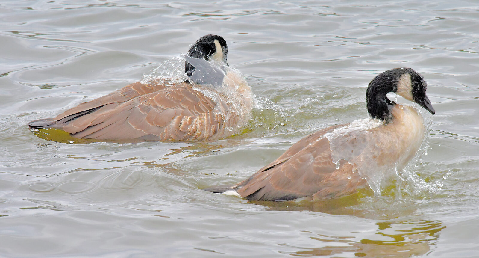 Valokuvaaja: Reijo Juurinen