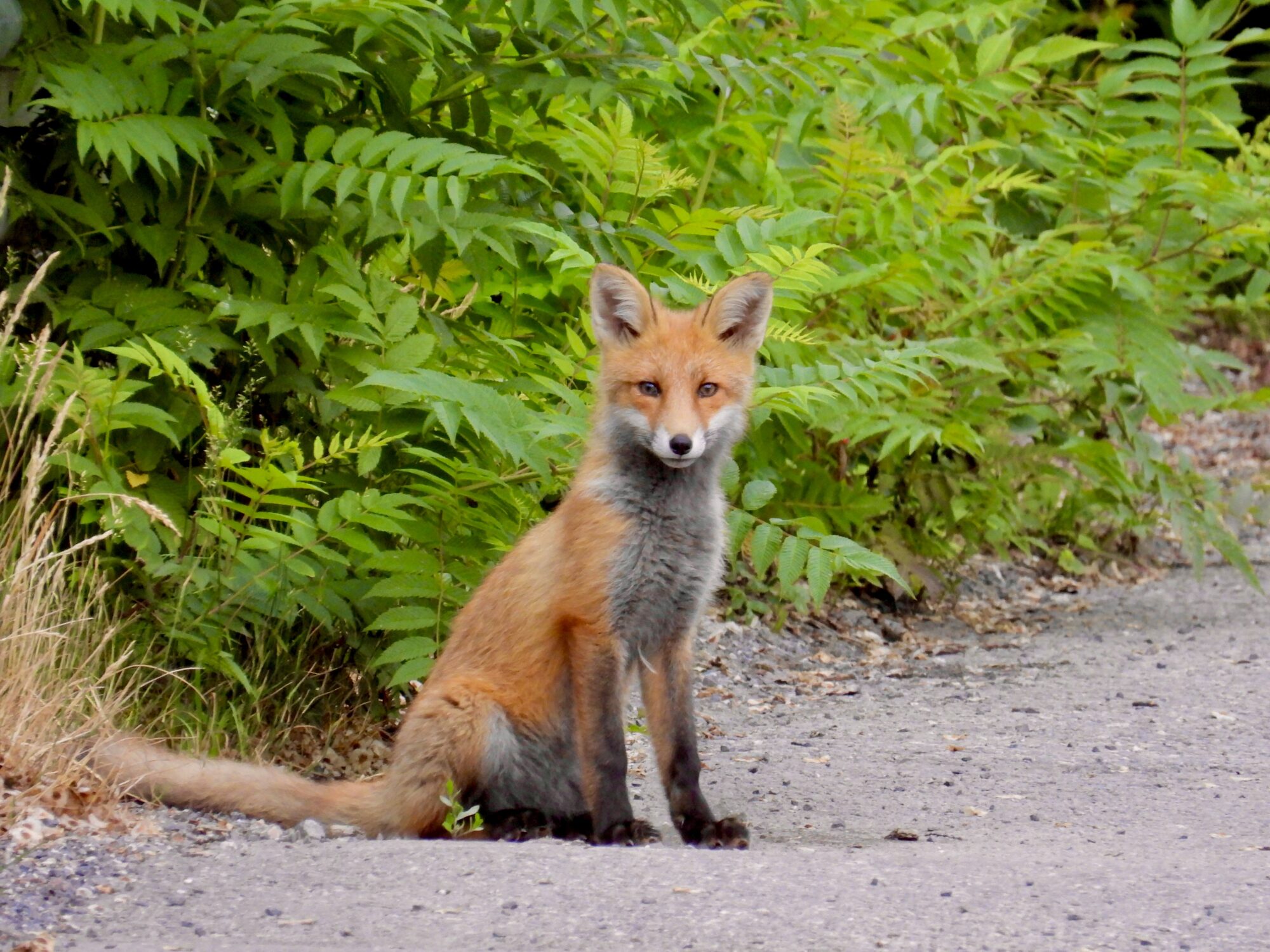 Valokuvaaja: Juhani Peltonen