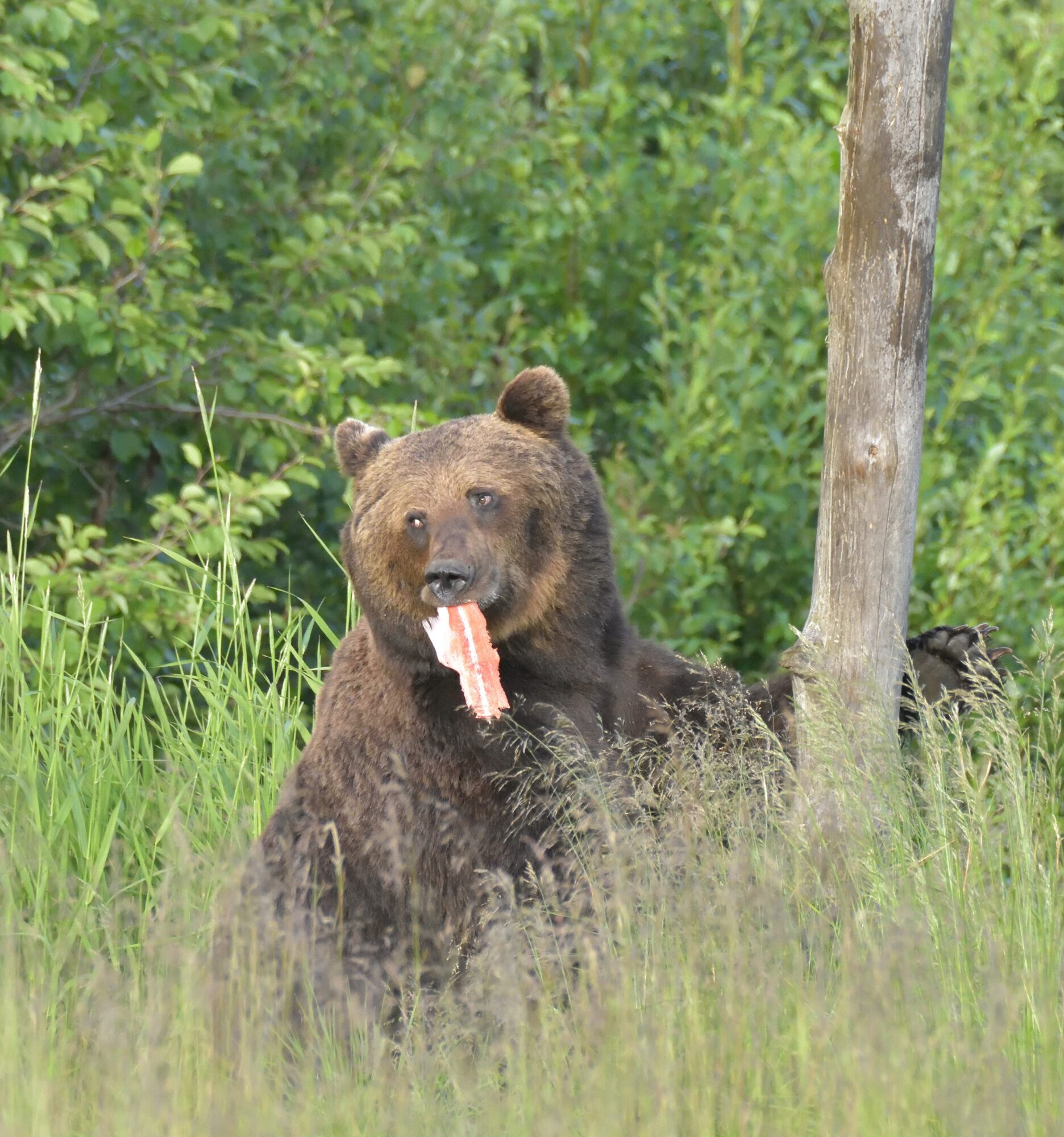 Valokuvaaja: Asko Heikkinen