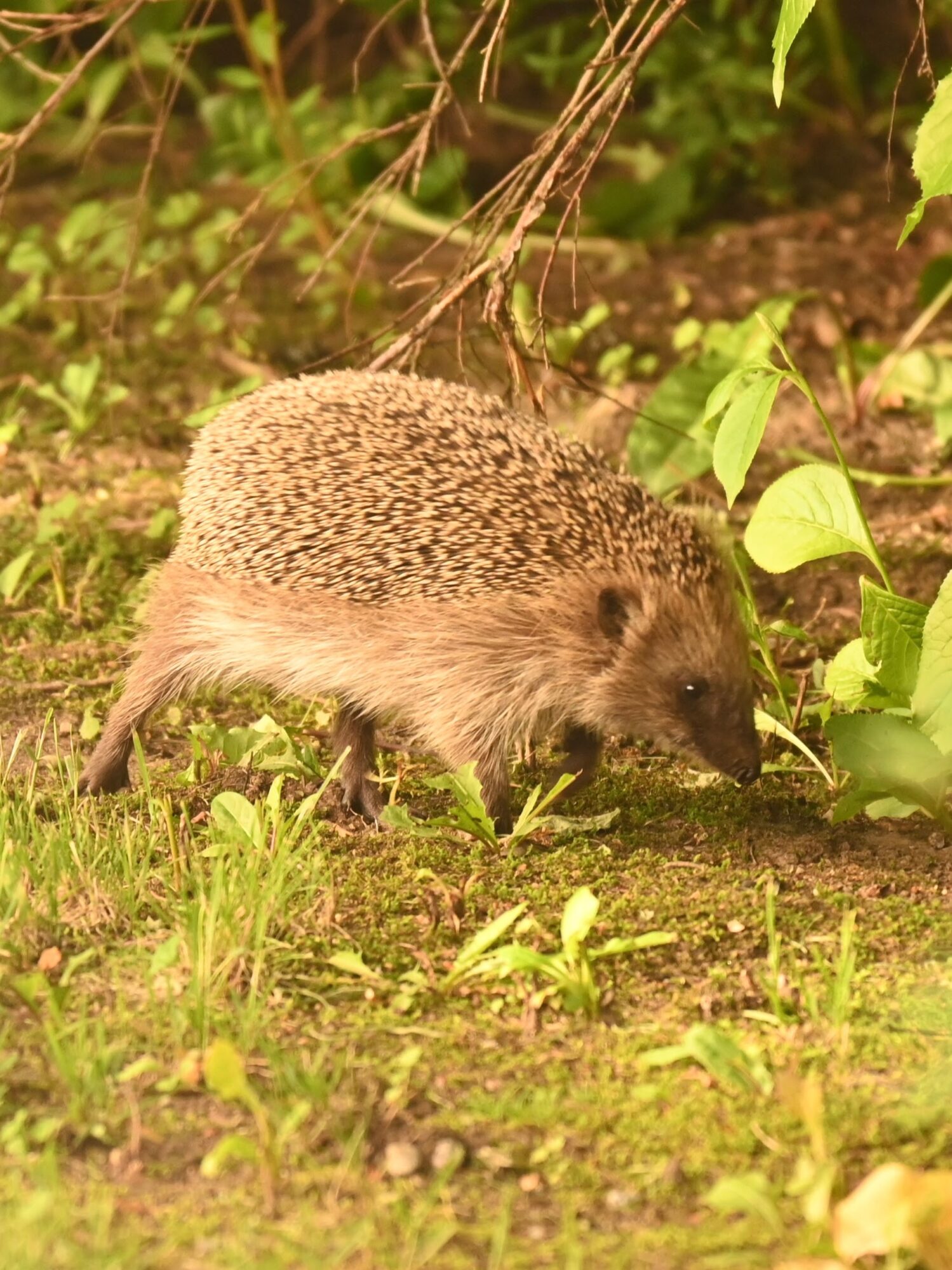 Valokuvaaja: Emilia Miettinen