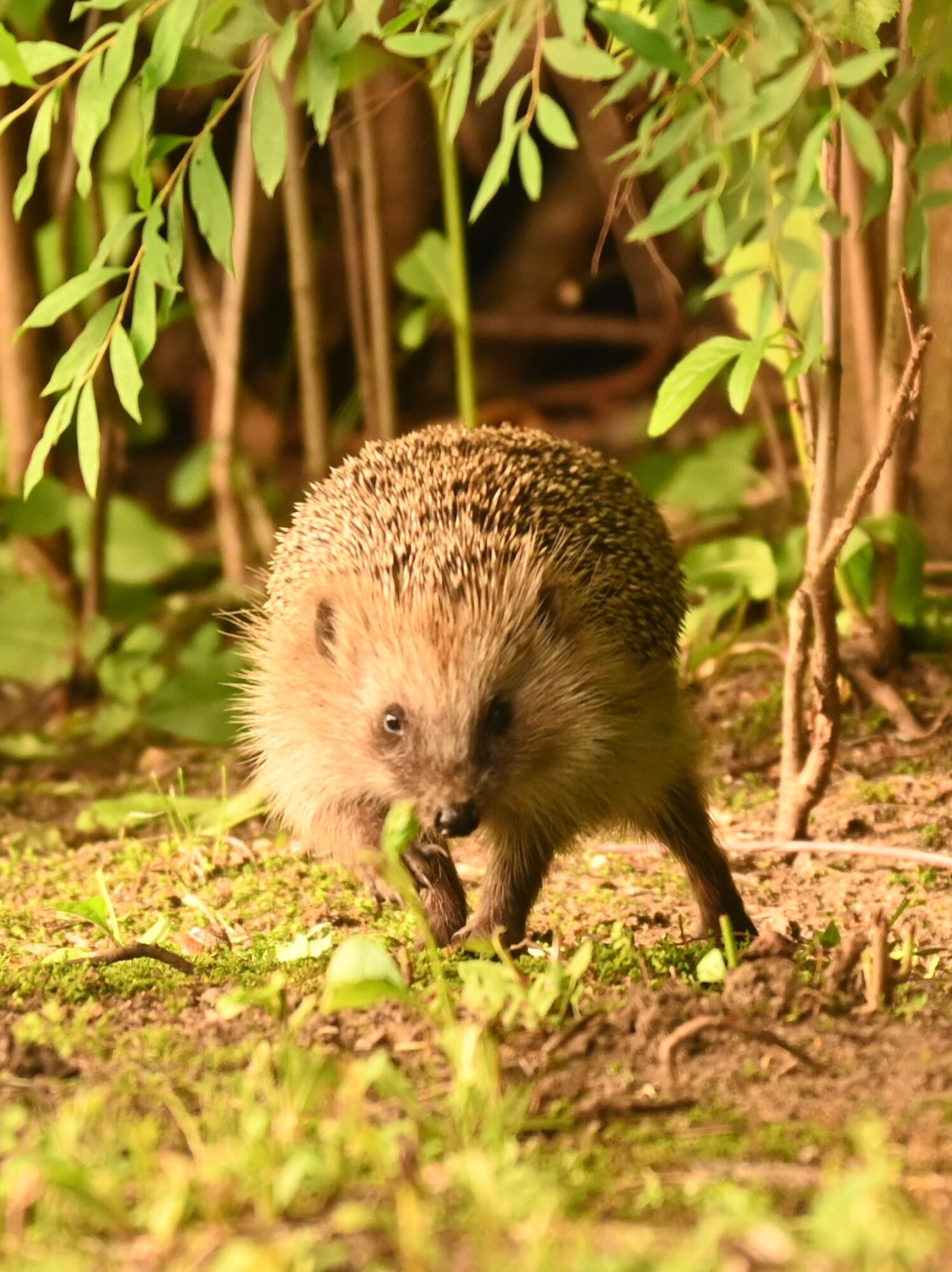 Valokuvaaja: Emilia Miettinen