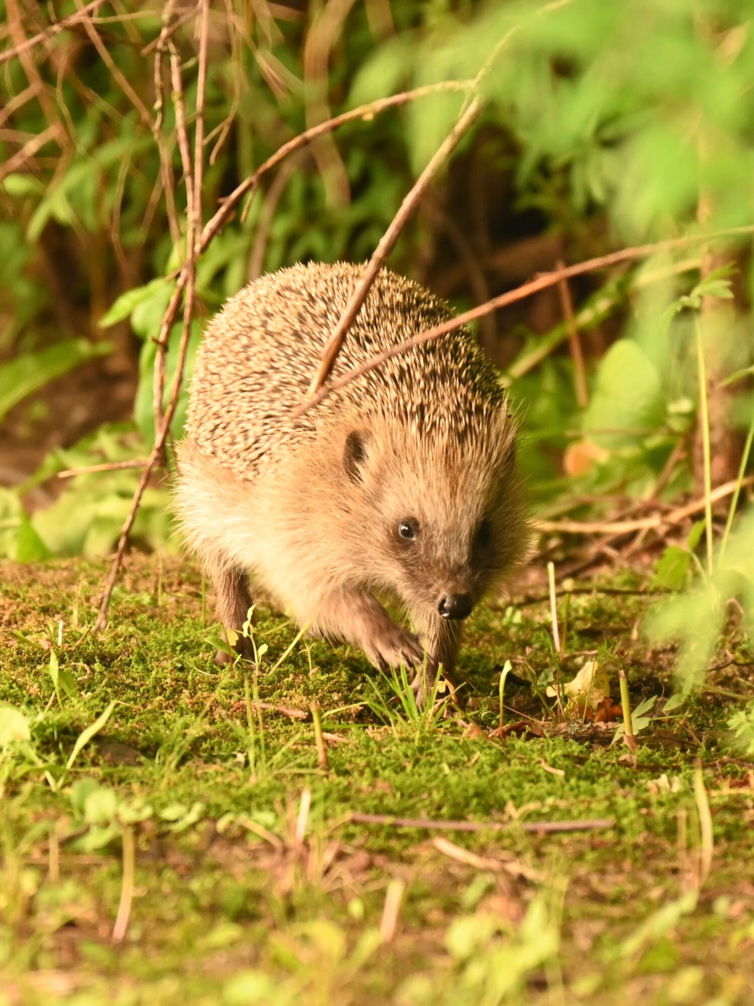 Valokuvaaja: Emilia Miettinen