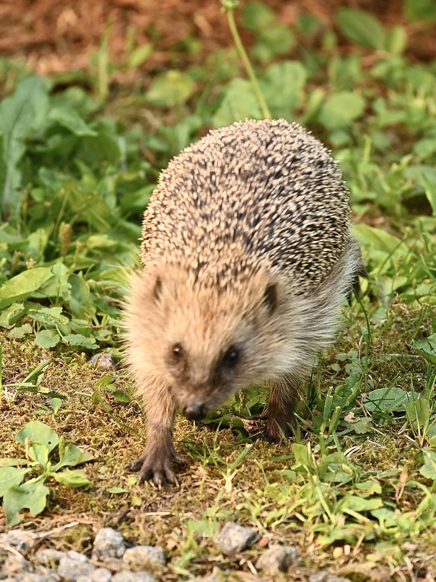 Valokuvaaja: Emilia Miettinen