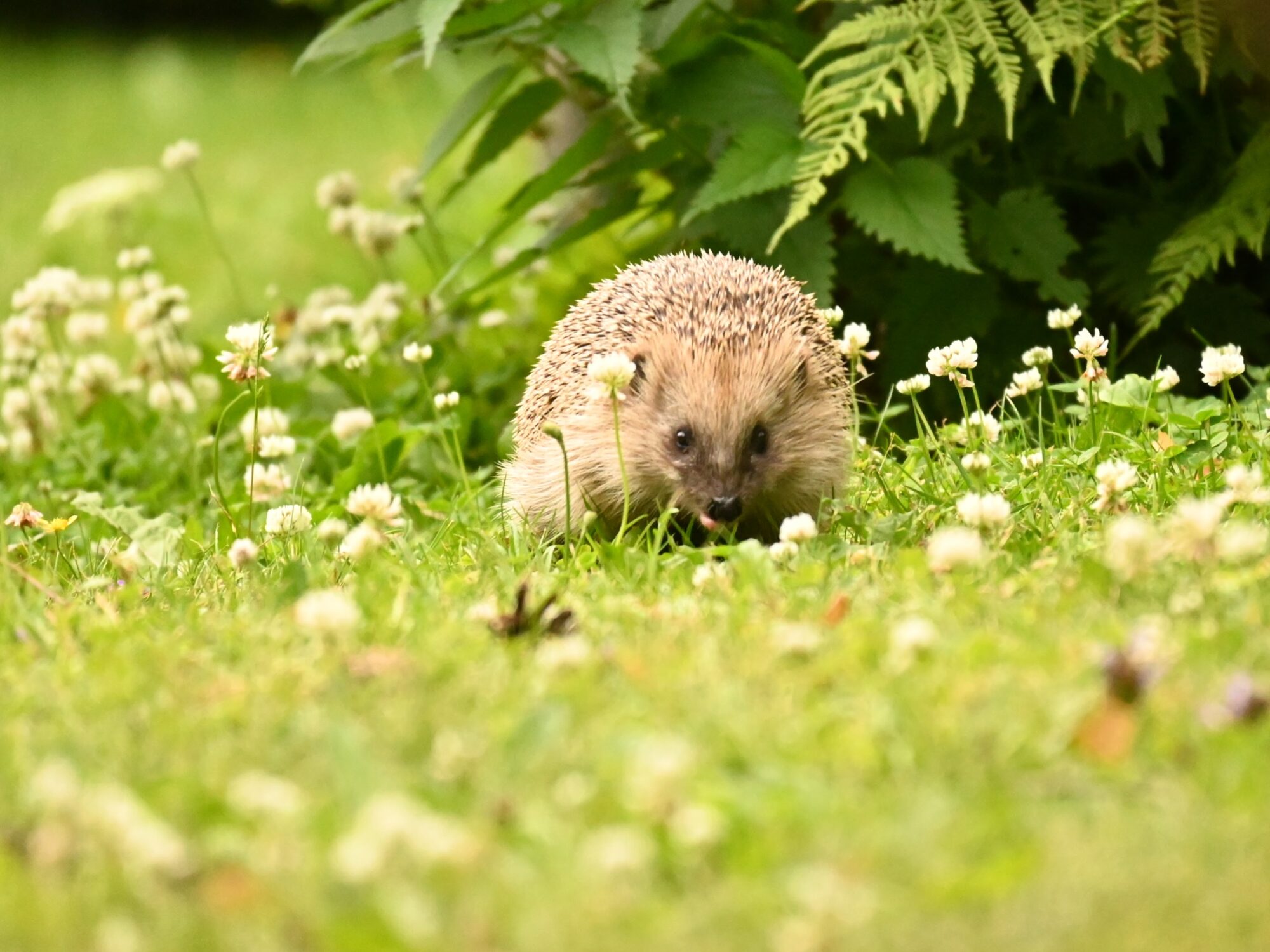 Valokuvaaja: Emilia Miettinen Valokuvaaja: Emilia Miettinen