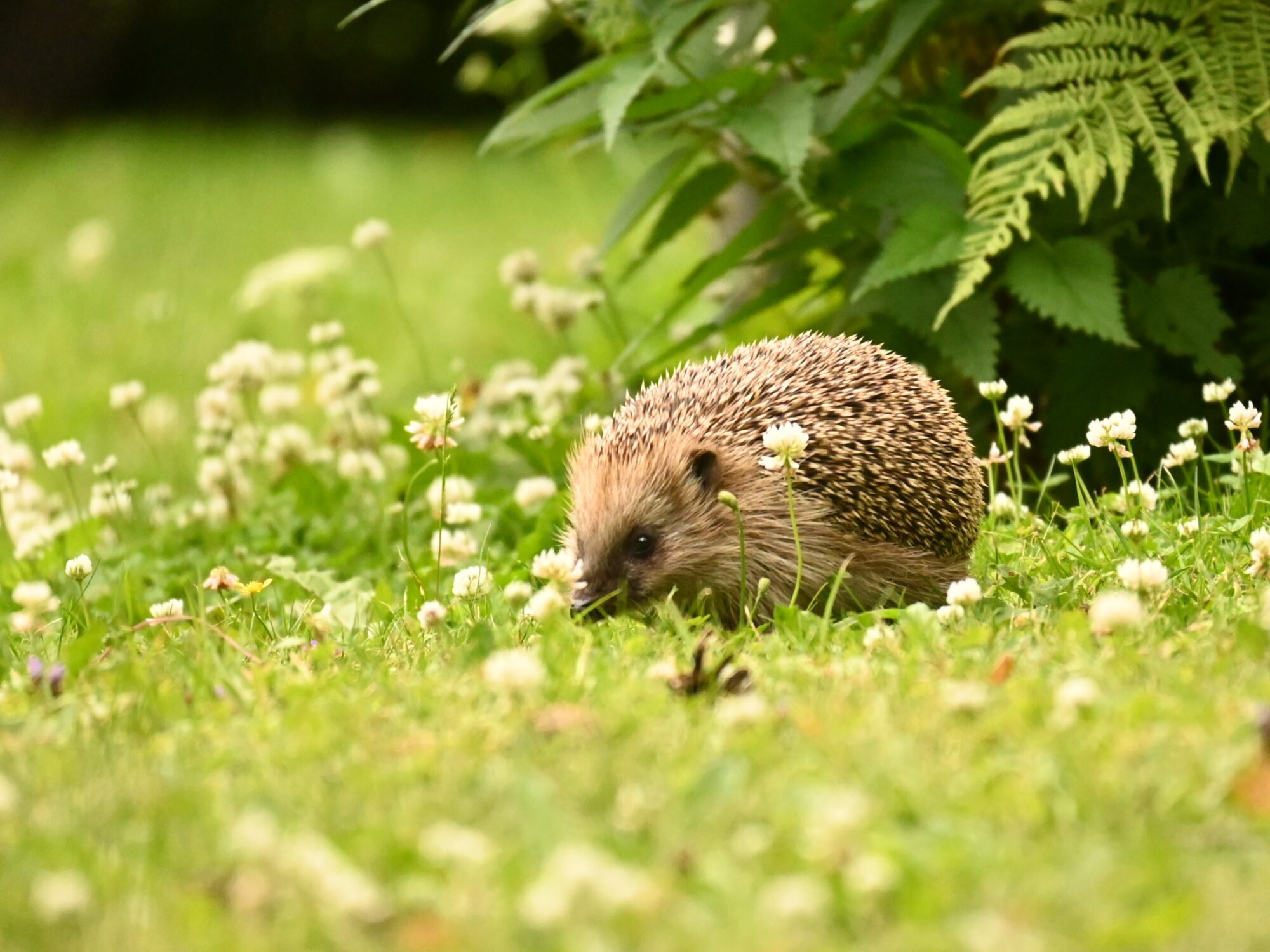 Valokuvaaja: Emilia Miettinen Valokuvaaja: Emilia Miettinen