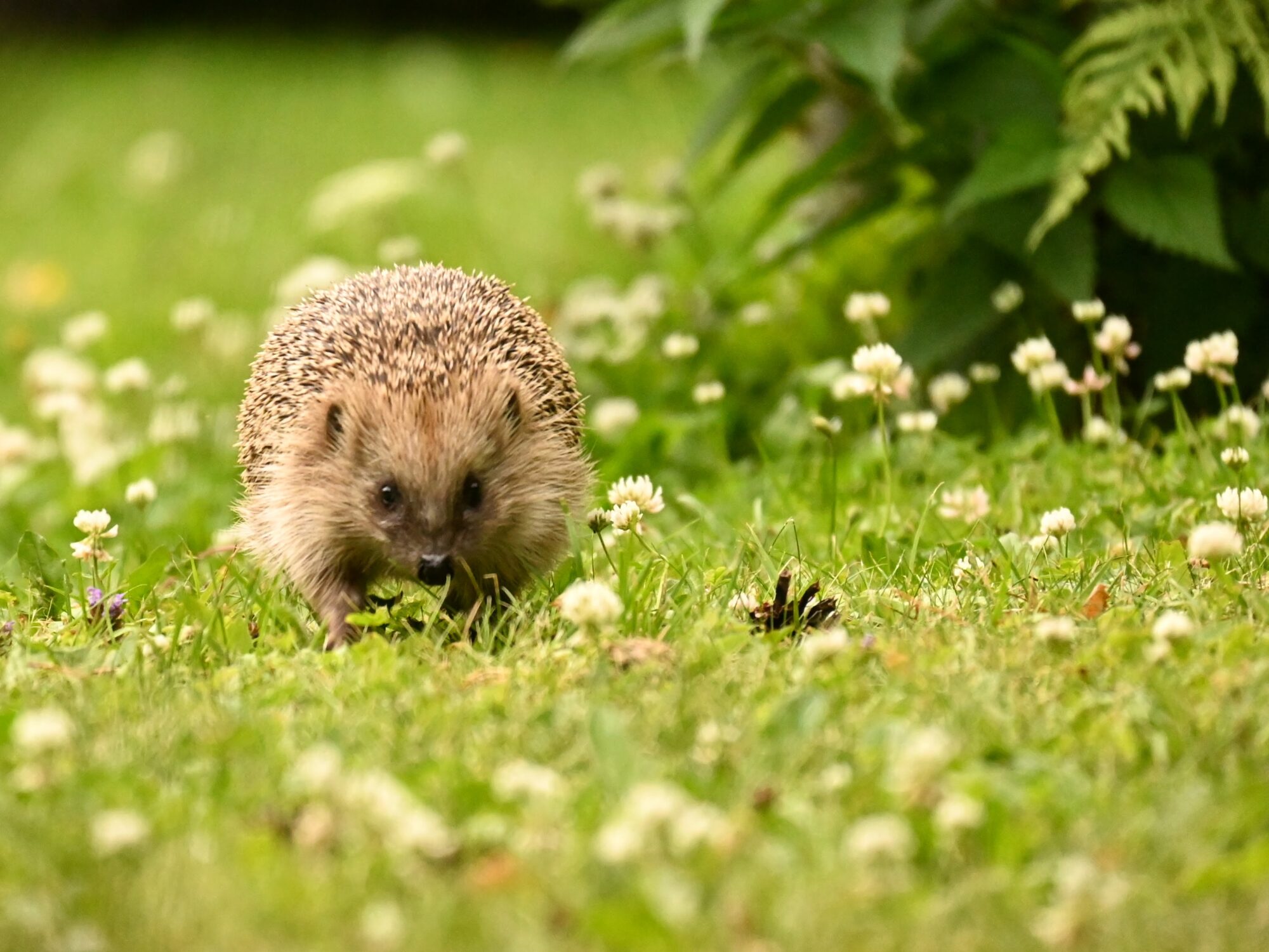Valokuvaaja: Emilia Miettinen