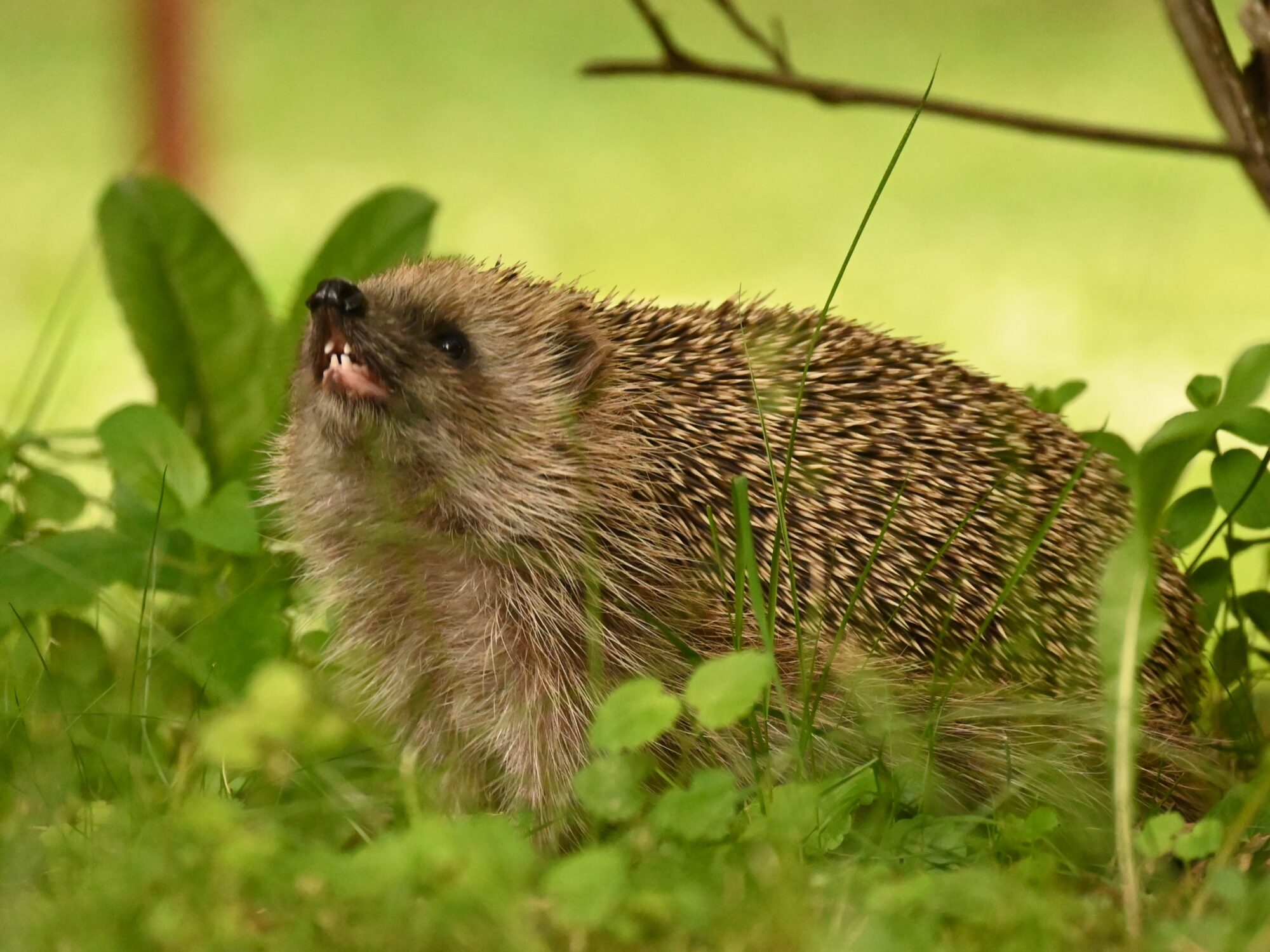 Valokuvaaja: Emilia Miettinen