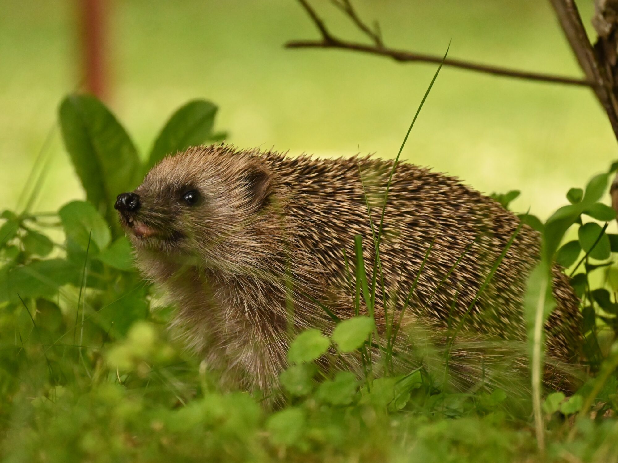 Valokuvaaja: Emilia Miettinen