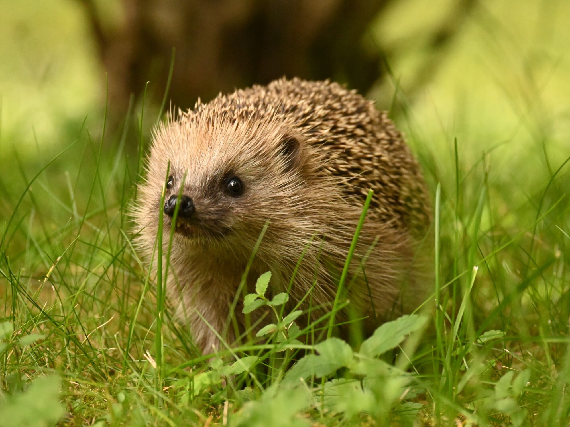 Valokuvaaja: Emilia Miettinen