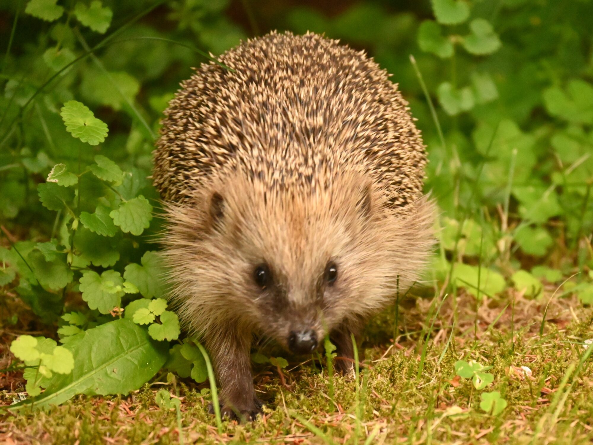 Valokuvaaja: Emilia Miettinen