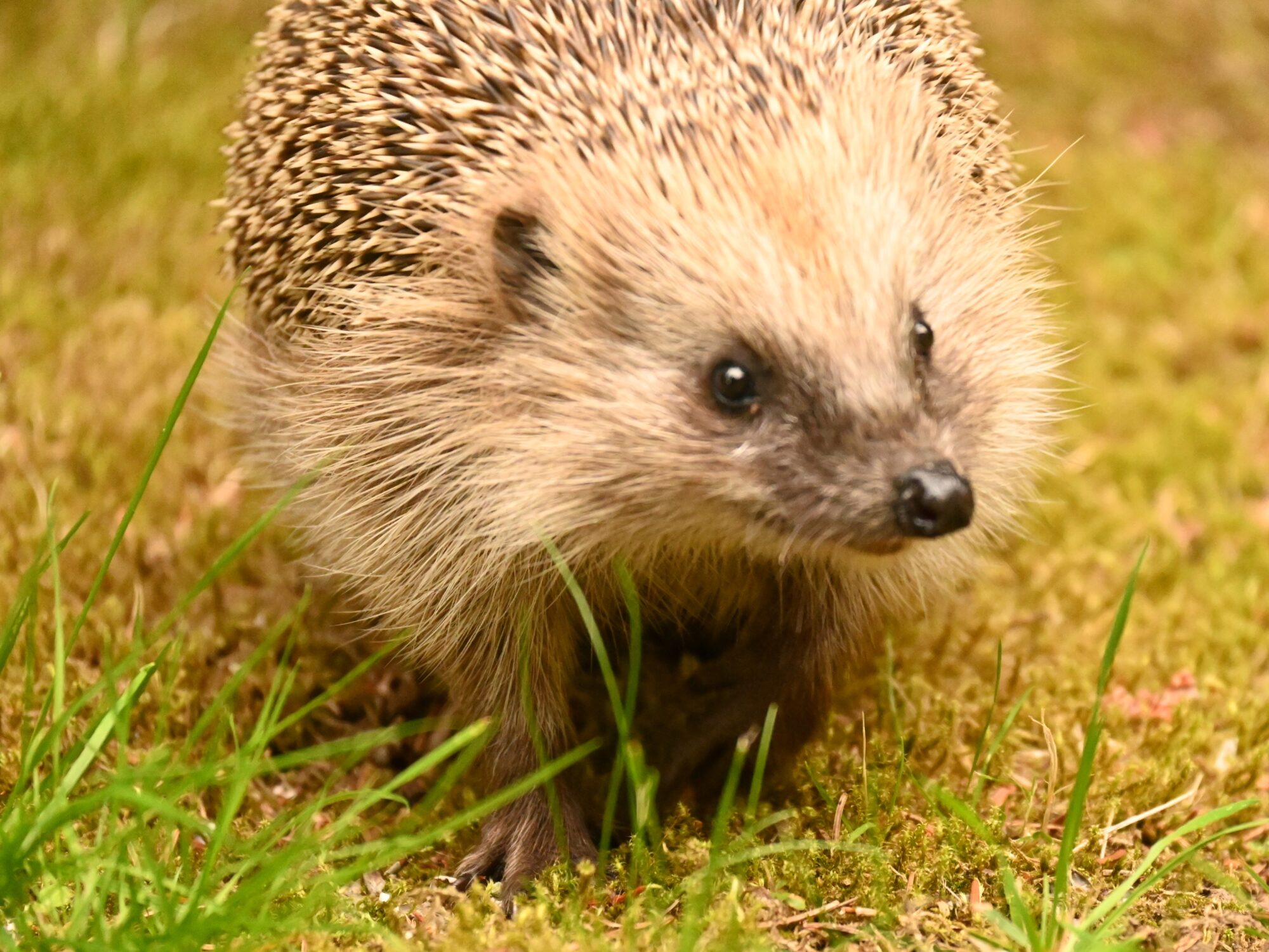 Valokuvaaja: Emilia Miettinen