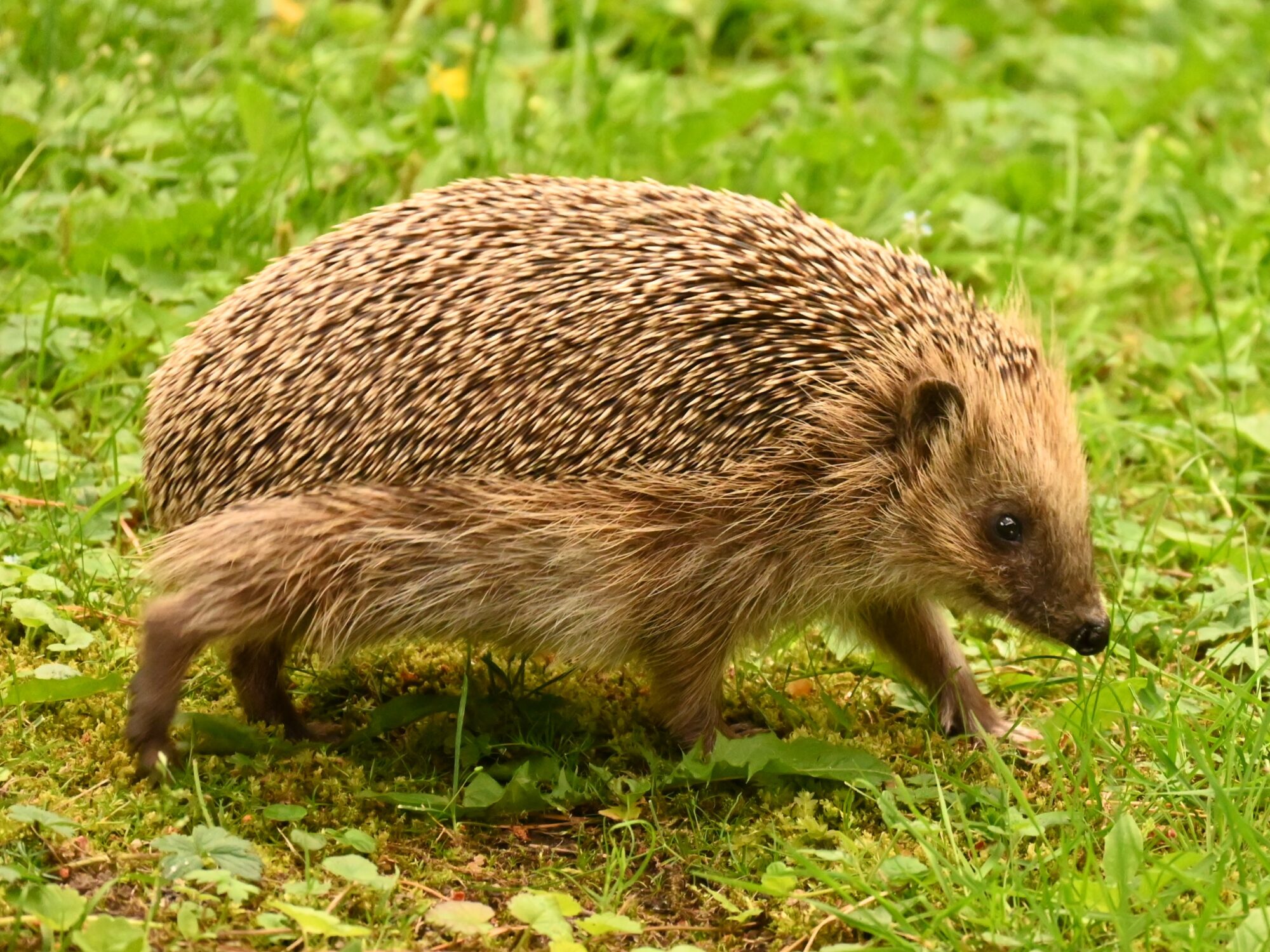 Valokuvaaja: Emilia Miettinen