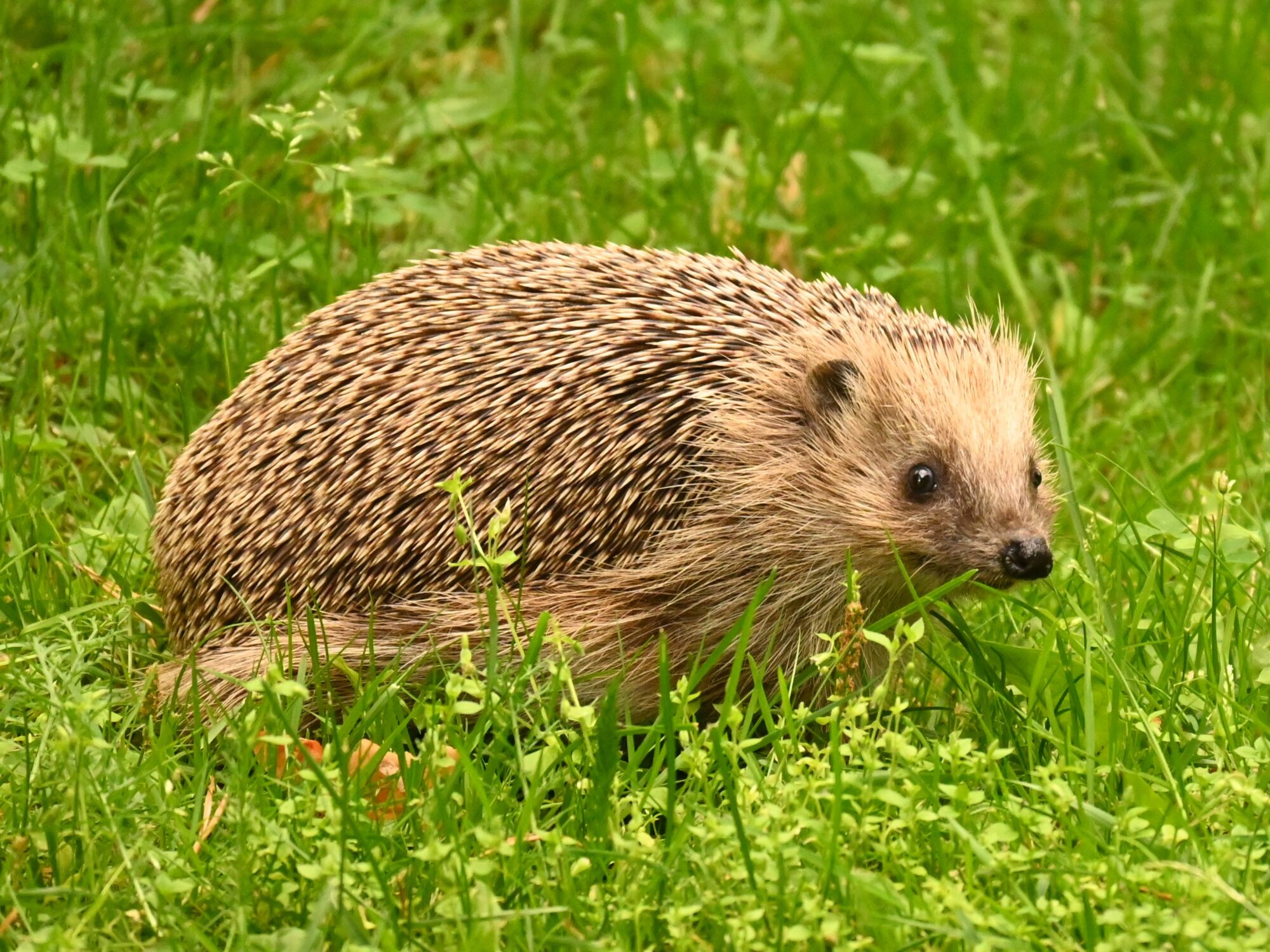Valokuvaaja: Emilia Miettinen Valokuvaaja: Emilia Miettinen