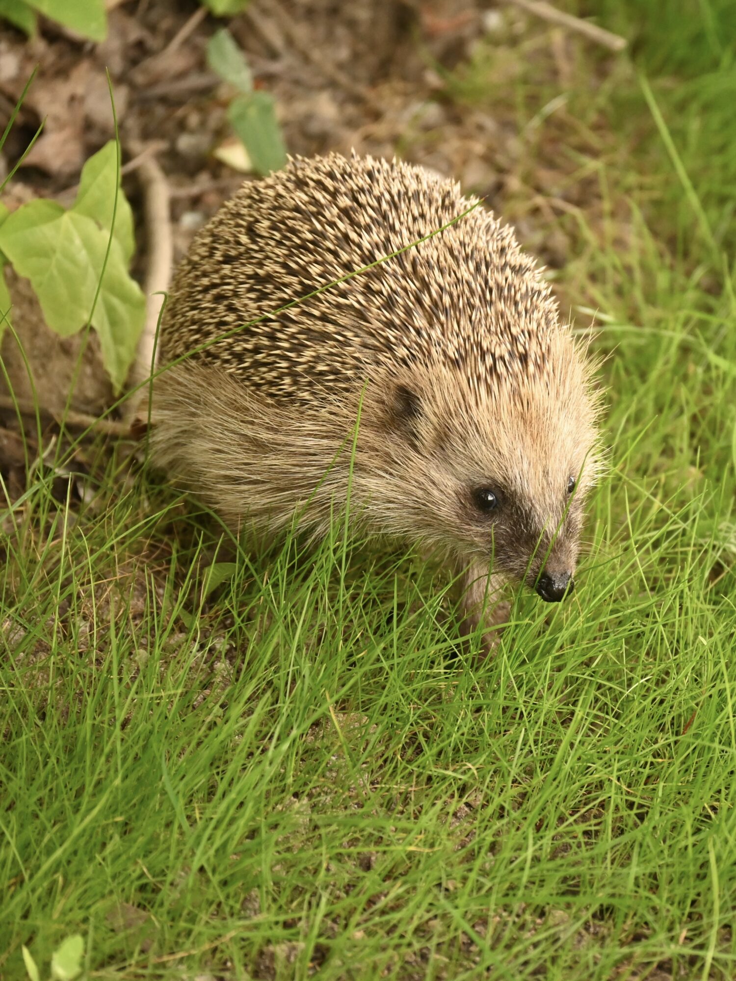 Valokuvaaja: Emilia Miettinen