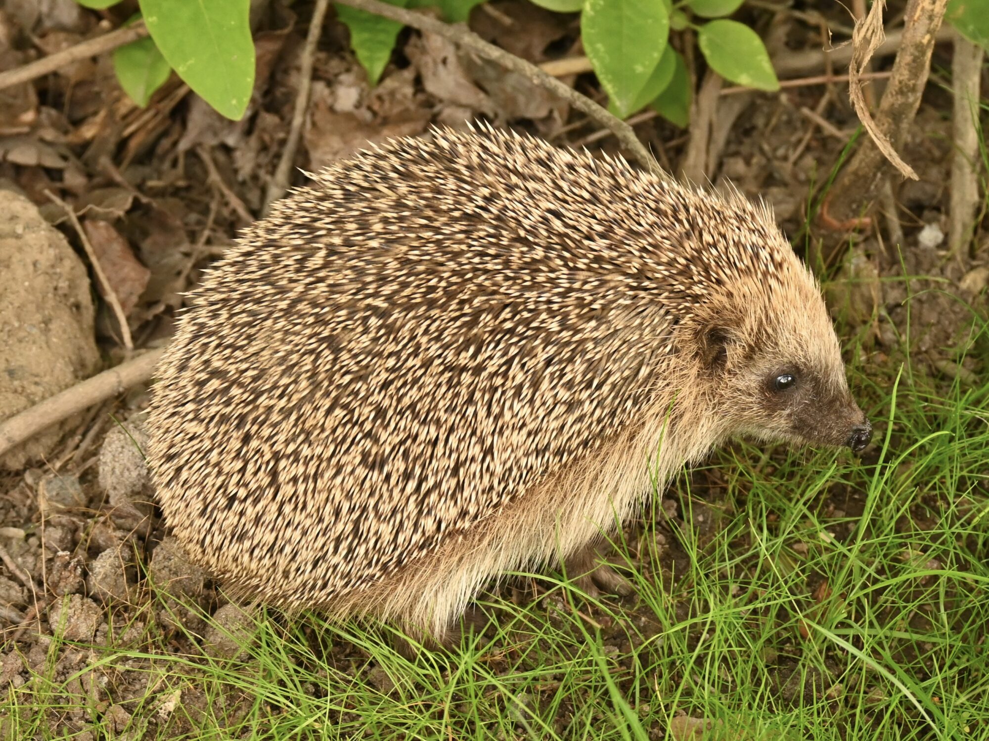 Valokuvaaja: Emilia Miettinen