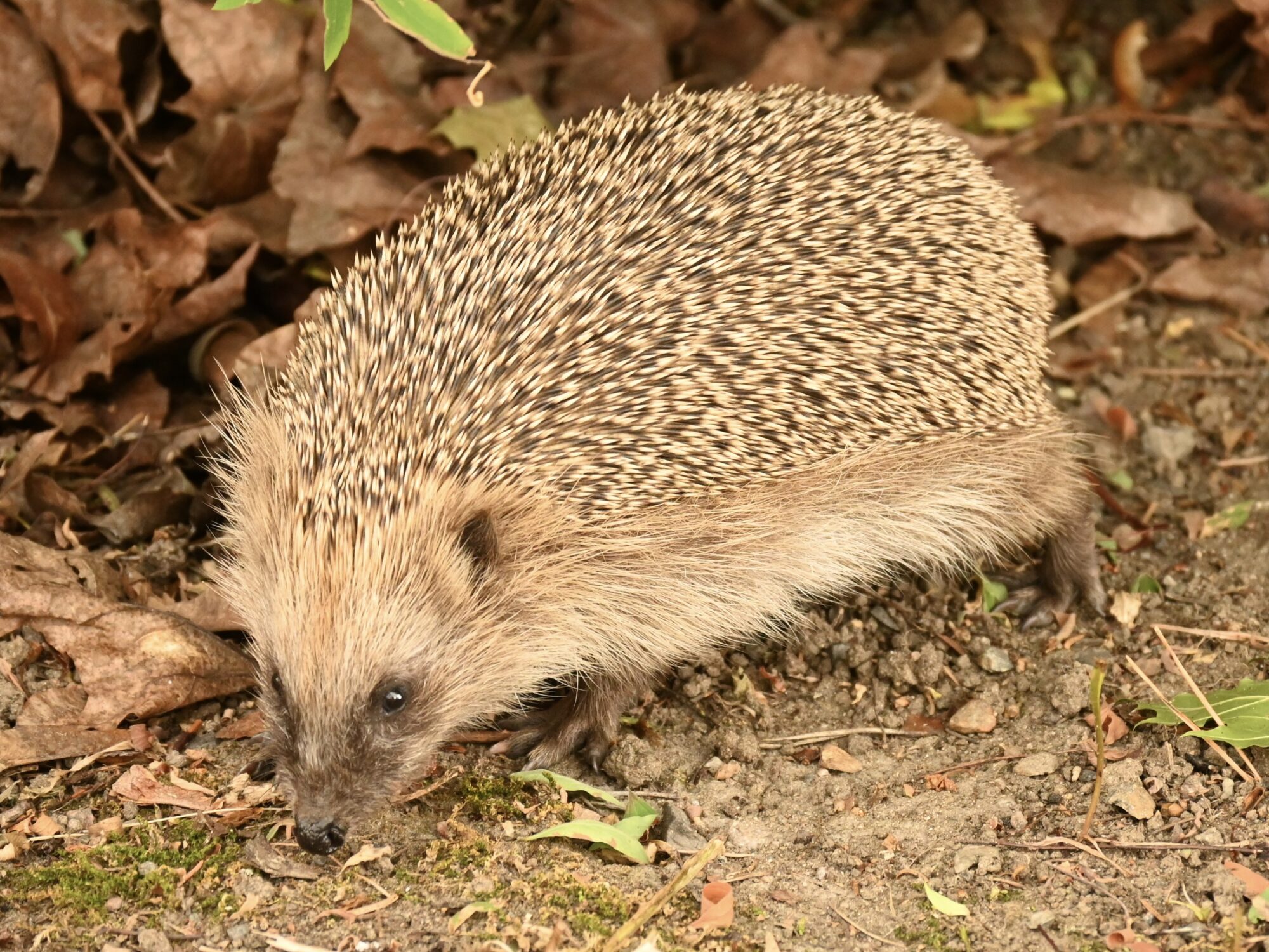 Valokuvaaja: Emilia Miettinen