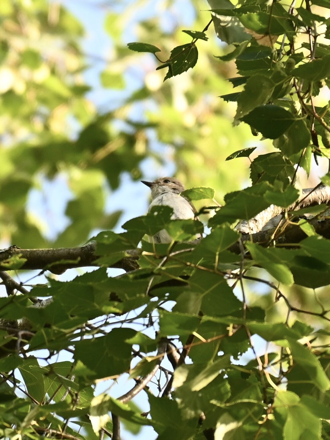 Valokuvaaja: Emilia Miettinen