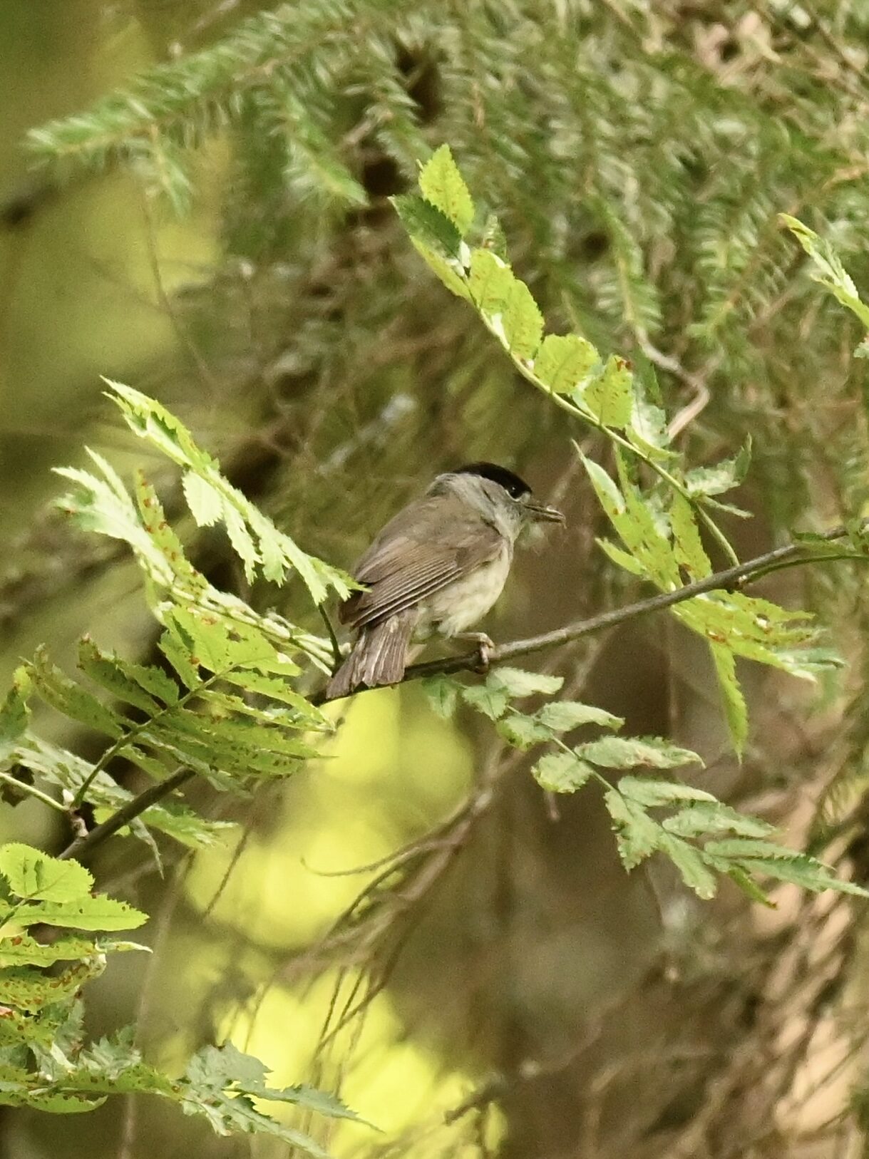 Valokuvaaja: Emilia Miettinen
