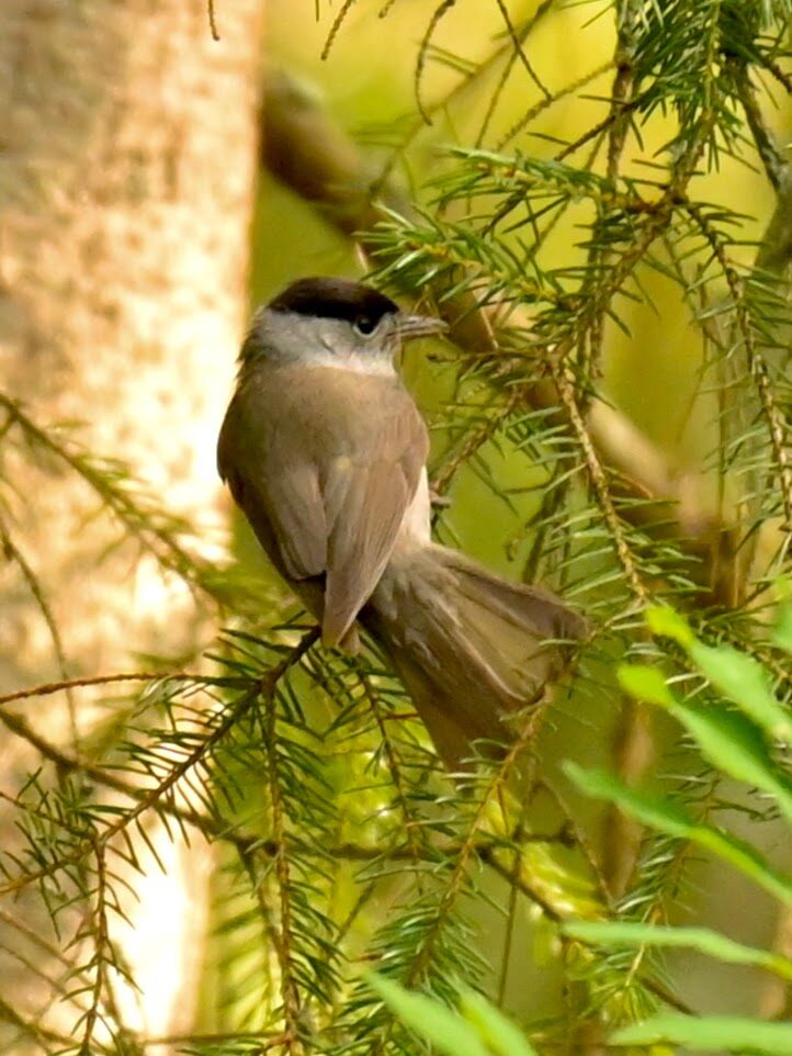 Valokuvaaja: Emilia Miettinen