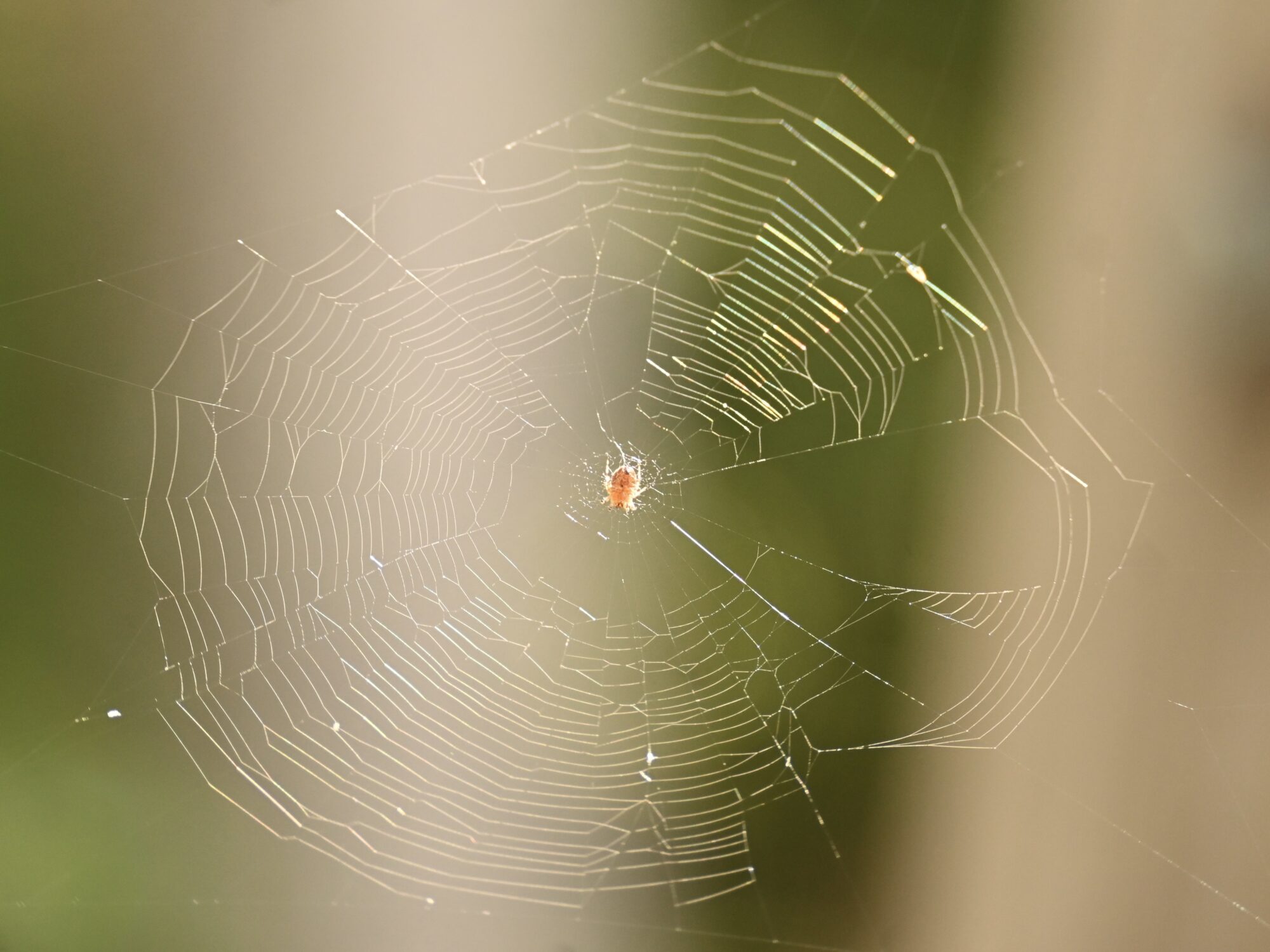Valokuvaaja: Emilia Miettinen