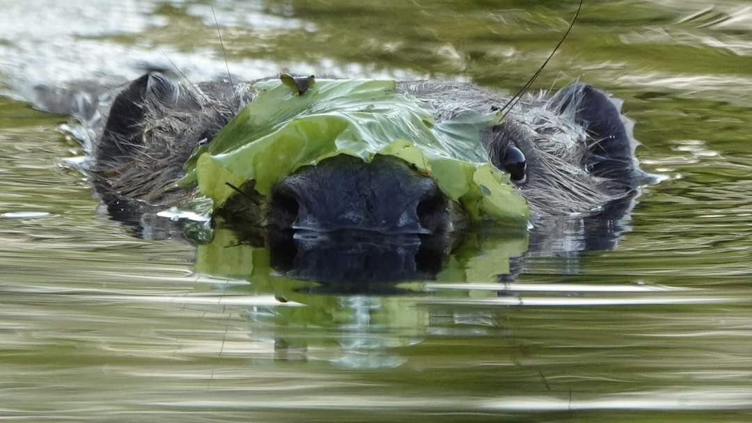 Valokuvaaja: Vesa Syrjälä