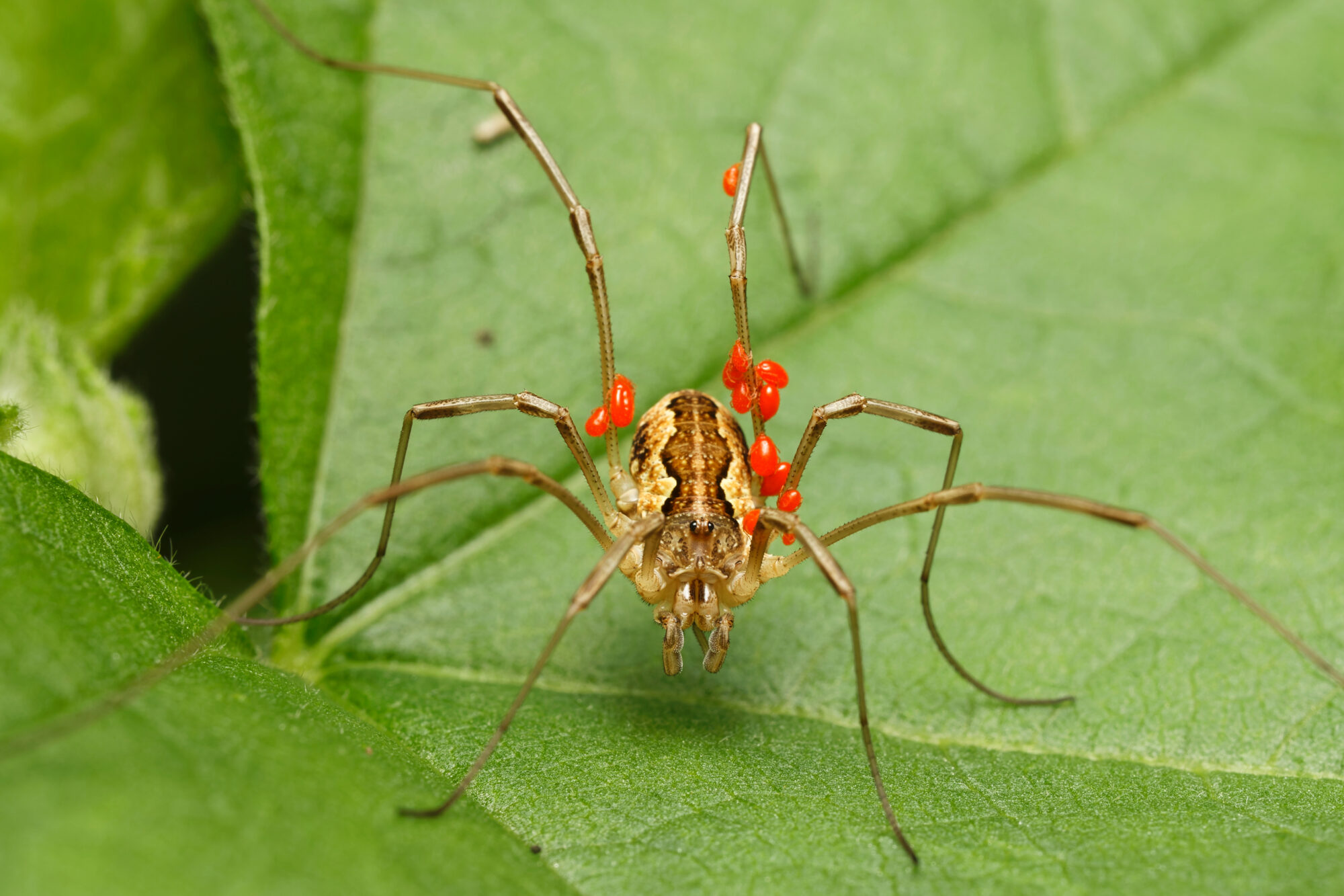 Valokuvaaja: TOMMI KUJALA