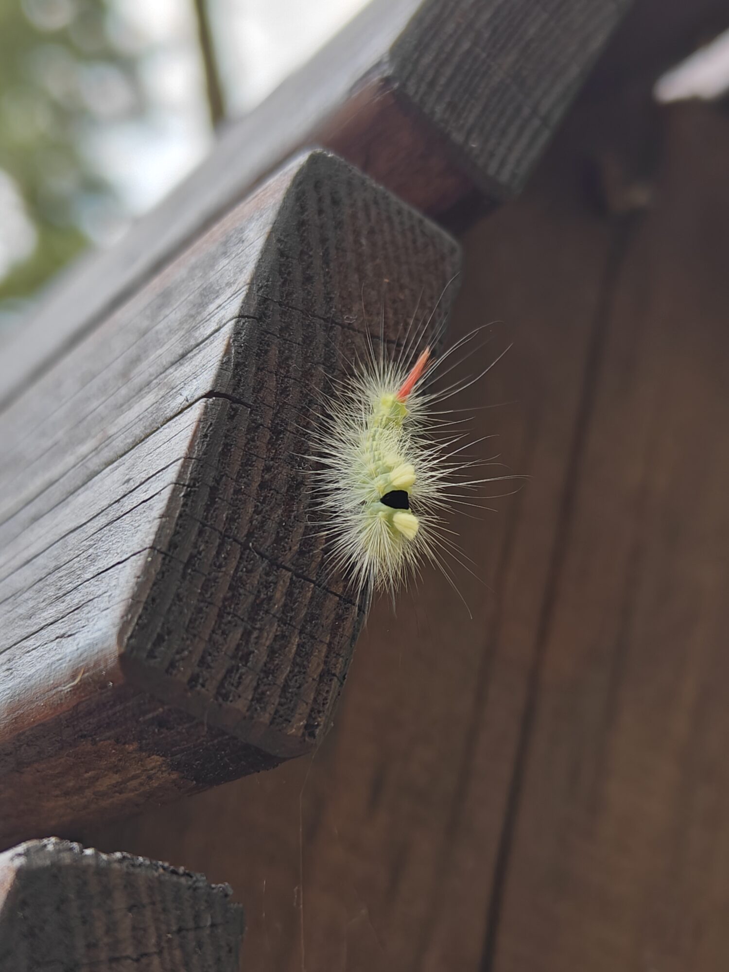 Valokuvaaja: Riikka Karonen