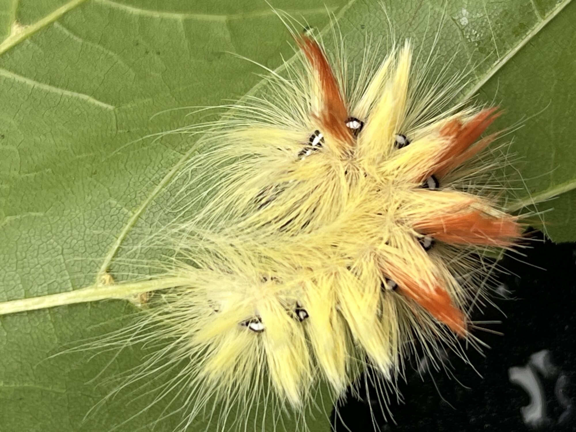 Valokuvaaja: Risto Heikkinen