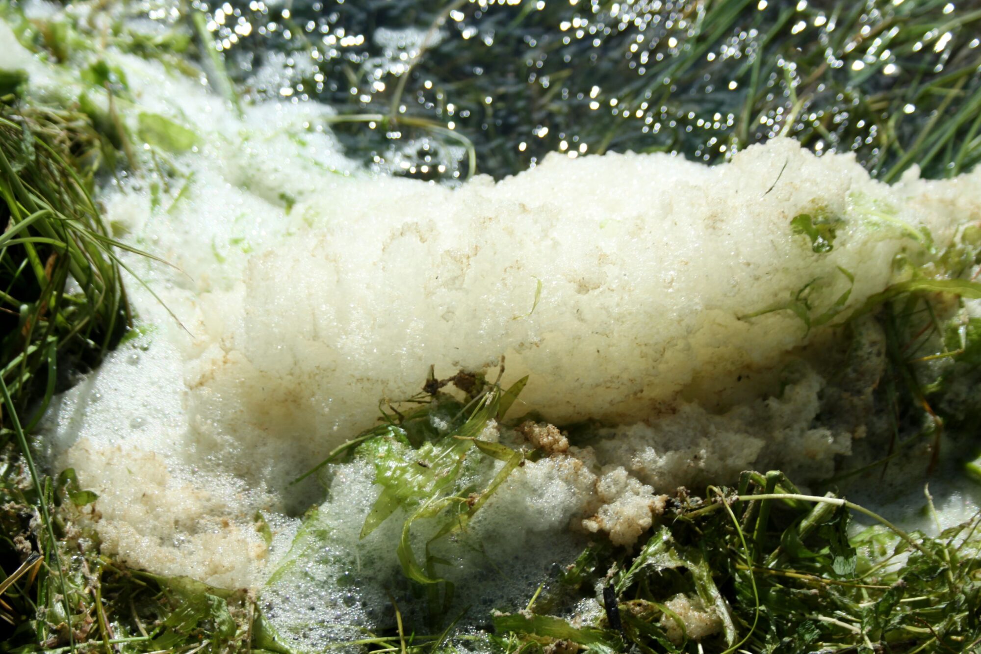 Valokuvaaja: Pirkko Siukonen