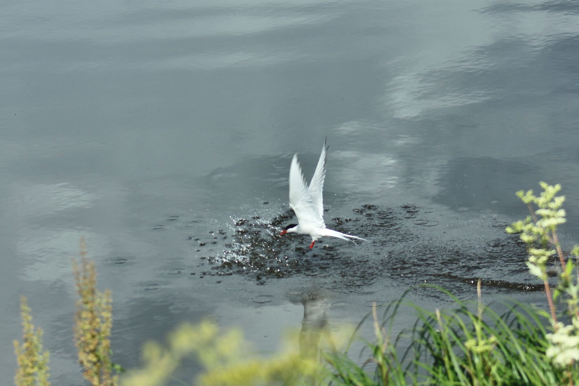 Valokuvaaja: Pirkko Siukonen