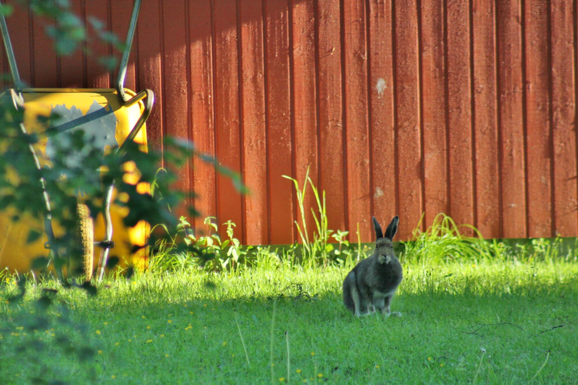 Valokuvaaja: Pirkko Siukonen
