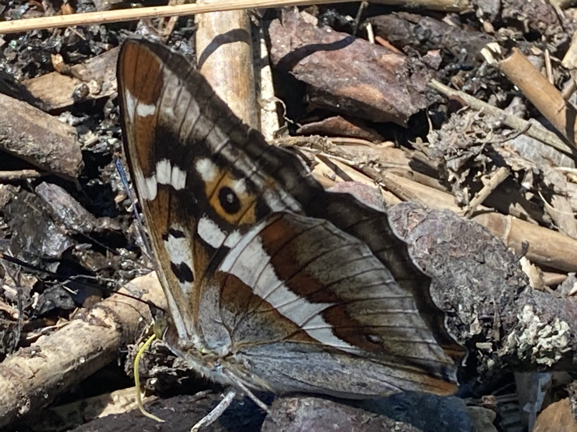 Valokuvaaja: Mikko Keski-Vähälä Valokuvaaja: Mikko Keski-Vähälä