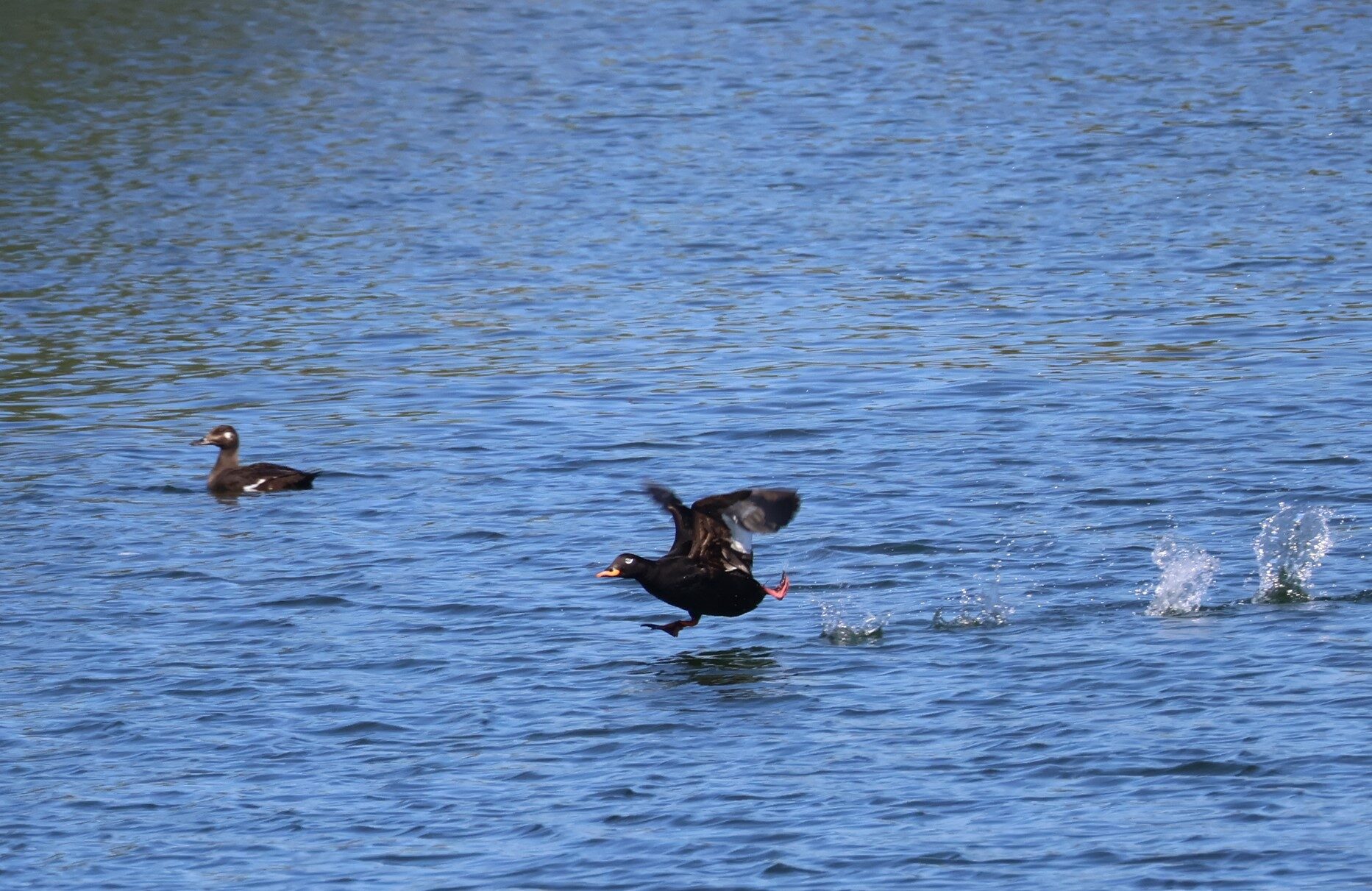Valokuvaaja: Jarmo Mantere Valokuvaaja: Jarmo Mantere