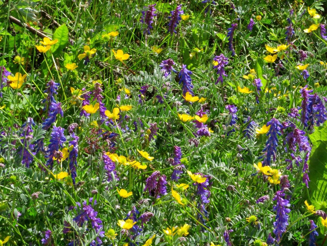 Valokuvaaja: Risto Kangassalo