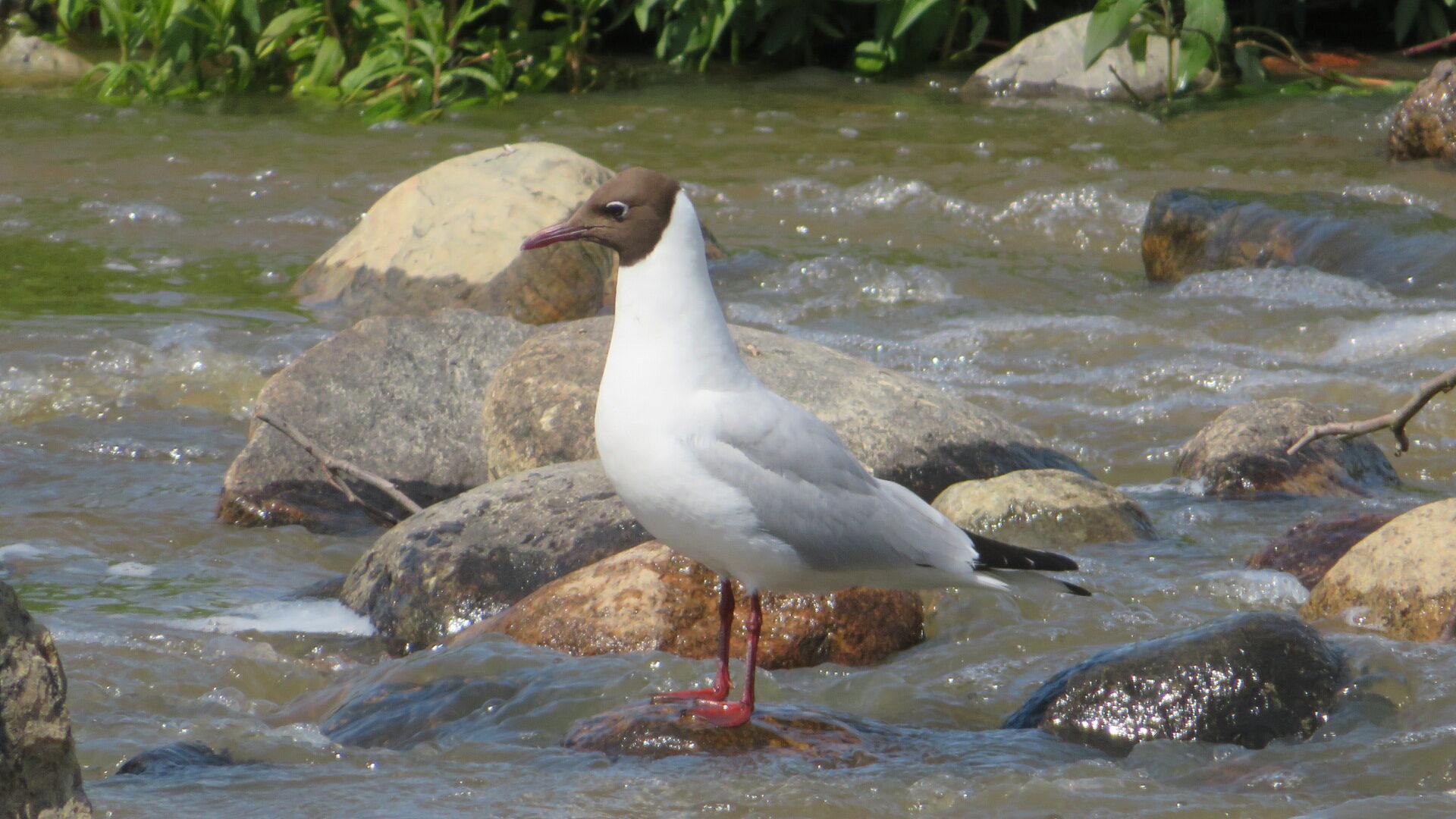 Valokuvaaja: Risto Kangassalo Valokuvaaja: Risto Kangassalo