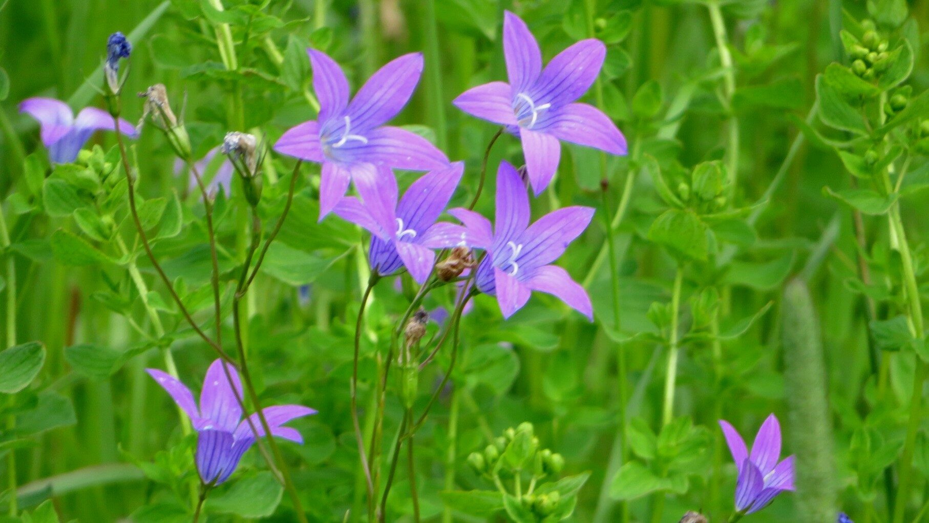 Valokuvaaja: Risto Kangassalo