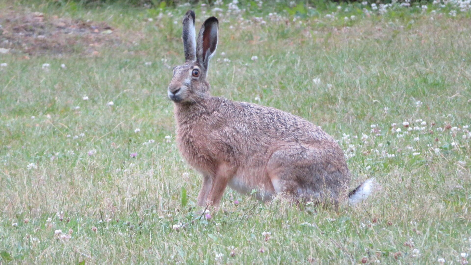 Valokuvaaja: Risto Kangassalo
