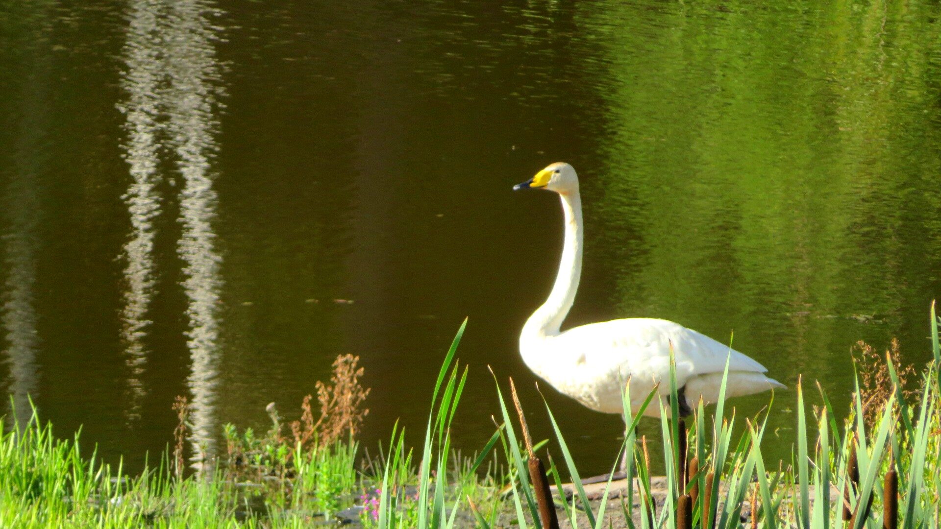 Valokuvaaja: Risto Kangassalo