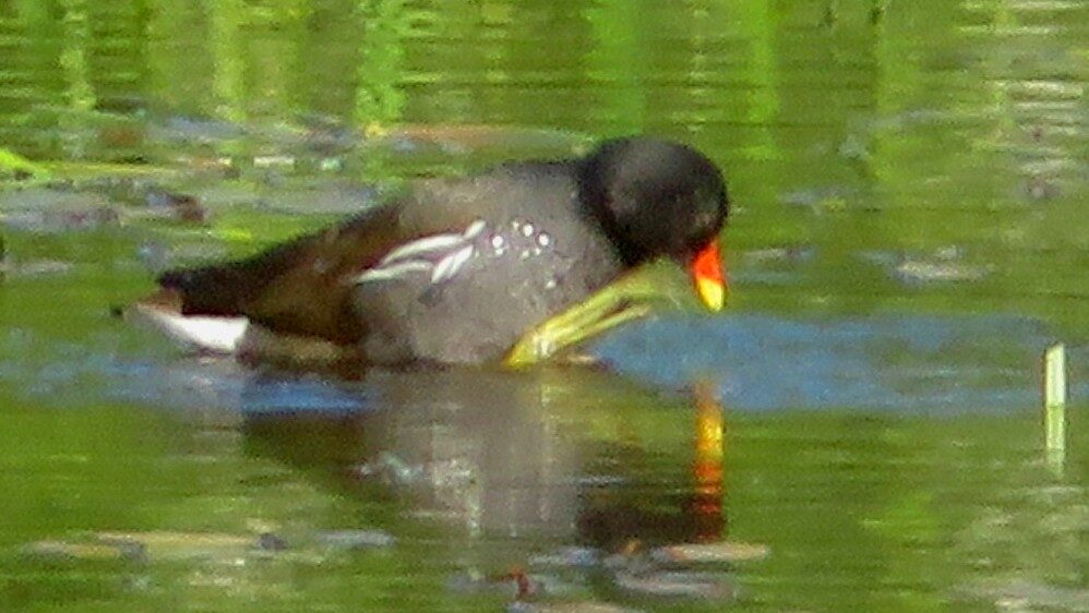 Valokuvaaja: Risto Kangassalo