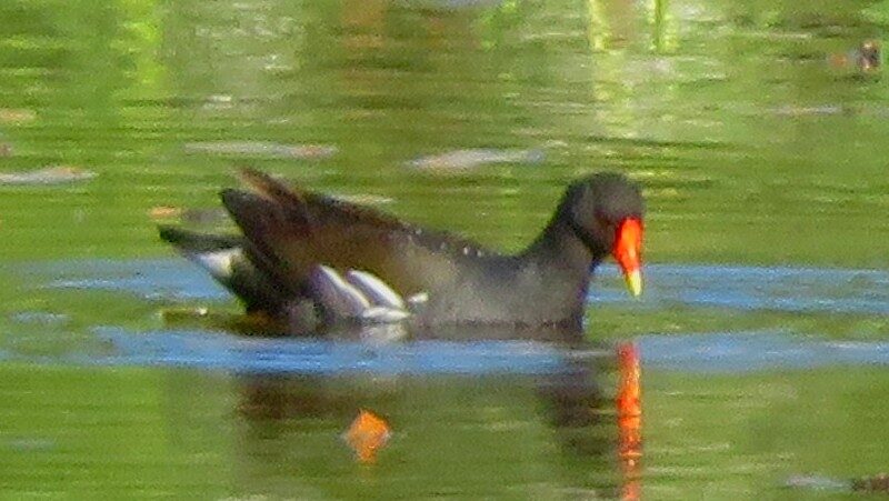 Valokuvaaja: Risto Kangassalo