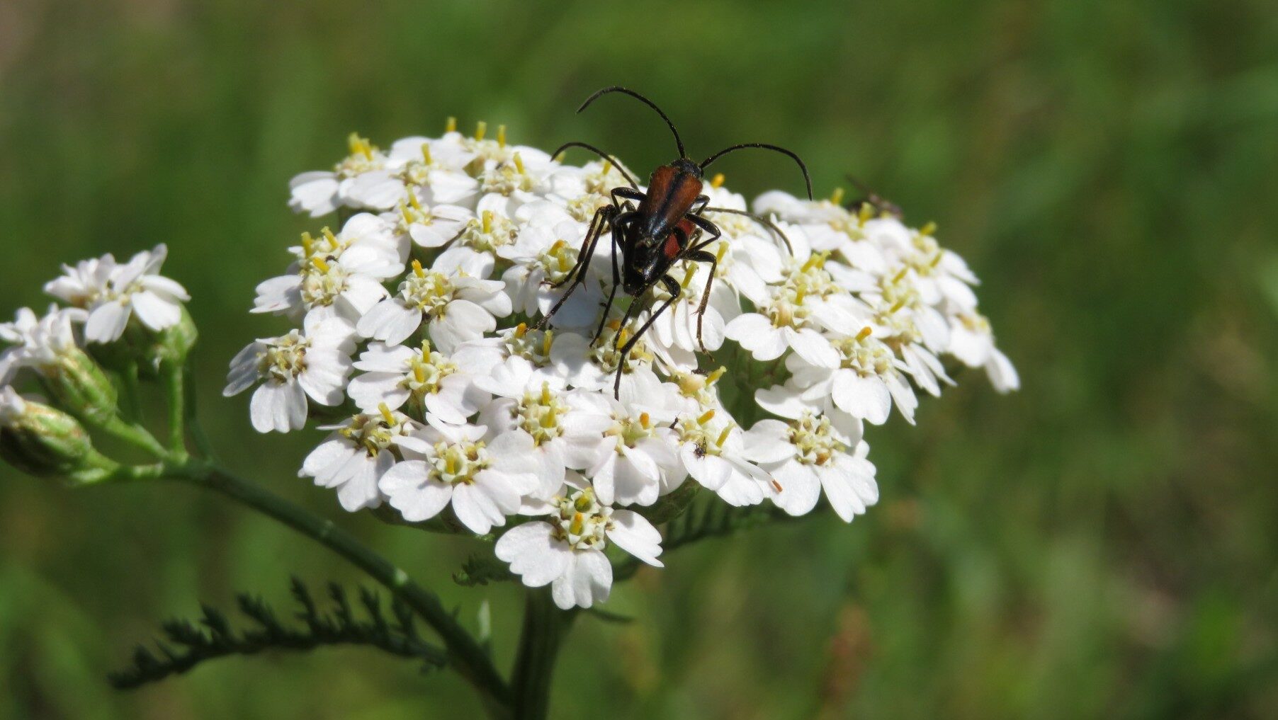 Valokuvaaja: Risto Kangassalo