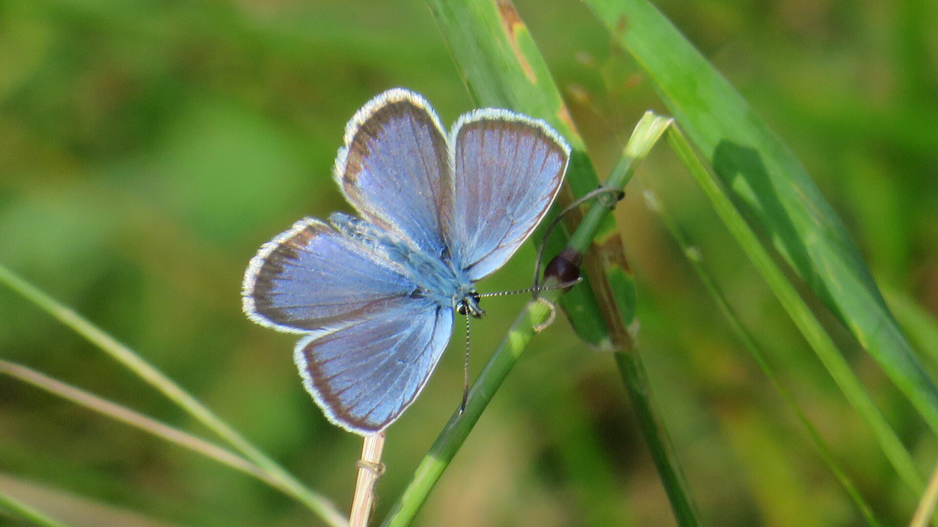 Valokuvaaja: Risto Kangassalo Valokuvaaja: Risto Kangassalo