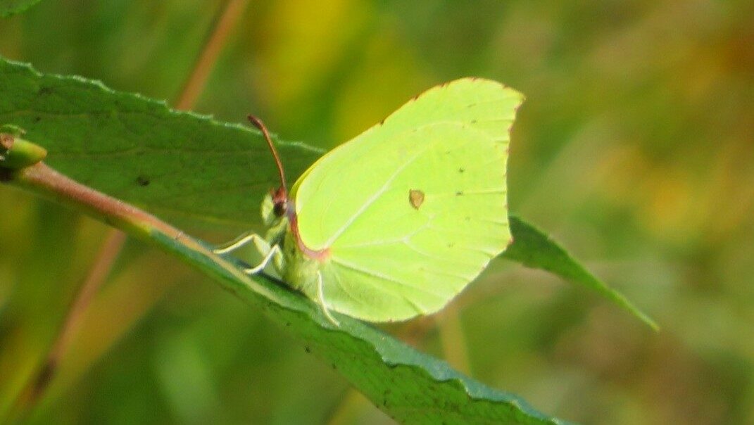 Valokuvaaja: Risto Kangassalo